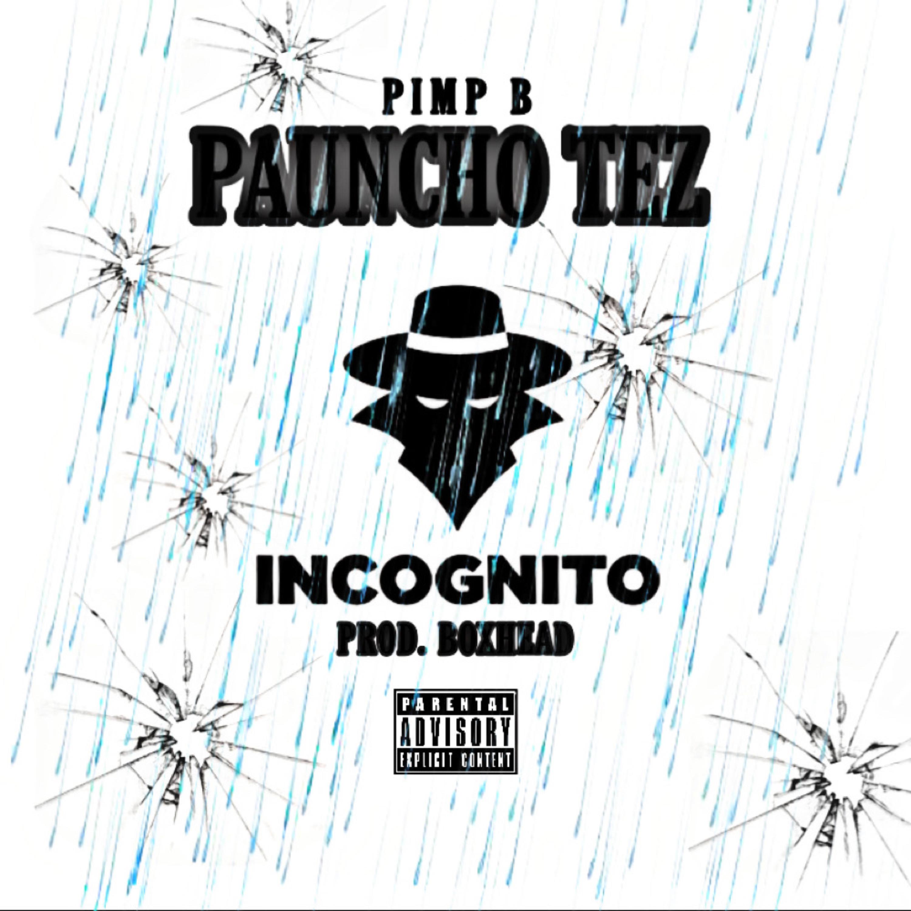 Incognito artwork