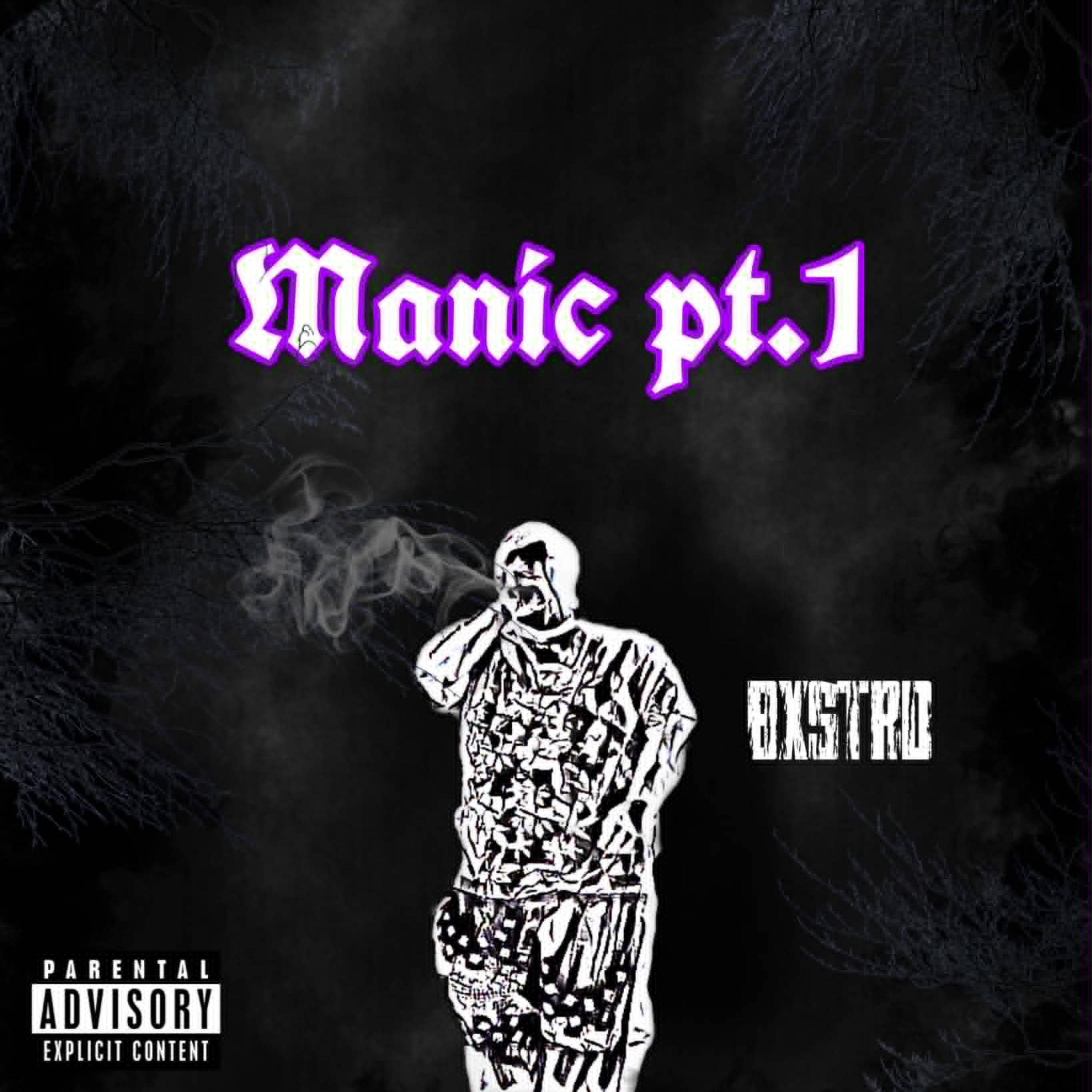 Manic Pt. 1 by Bxstrd cover art