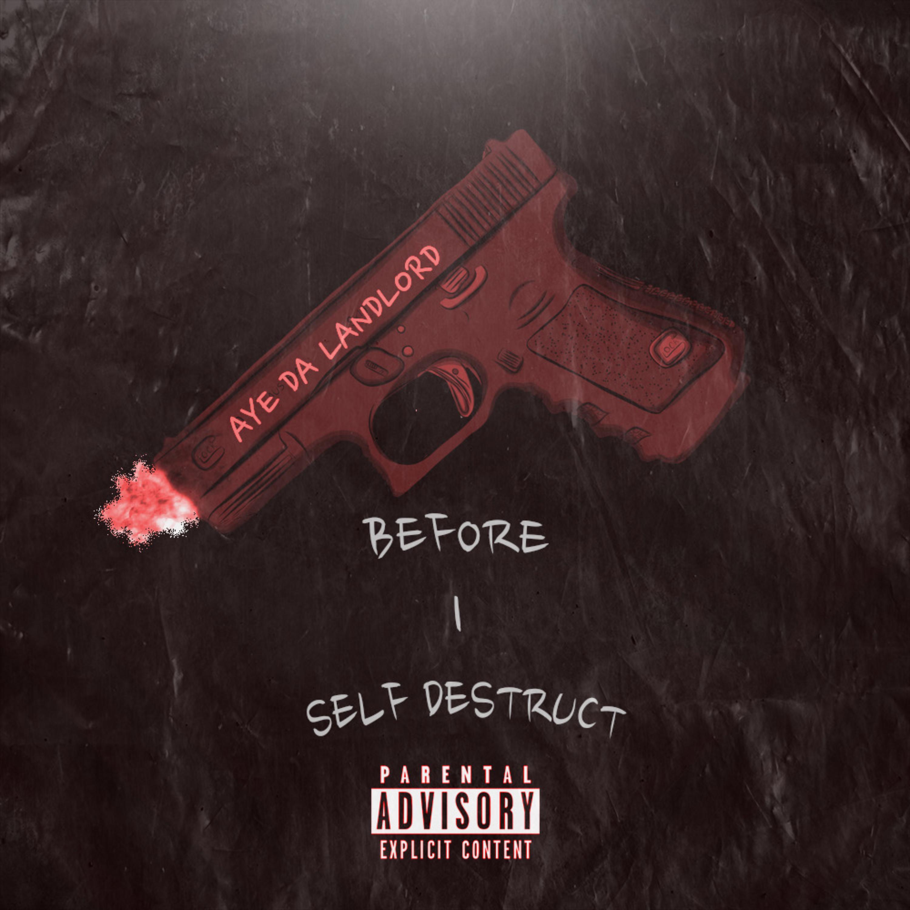 Before I Self Destruct artwork