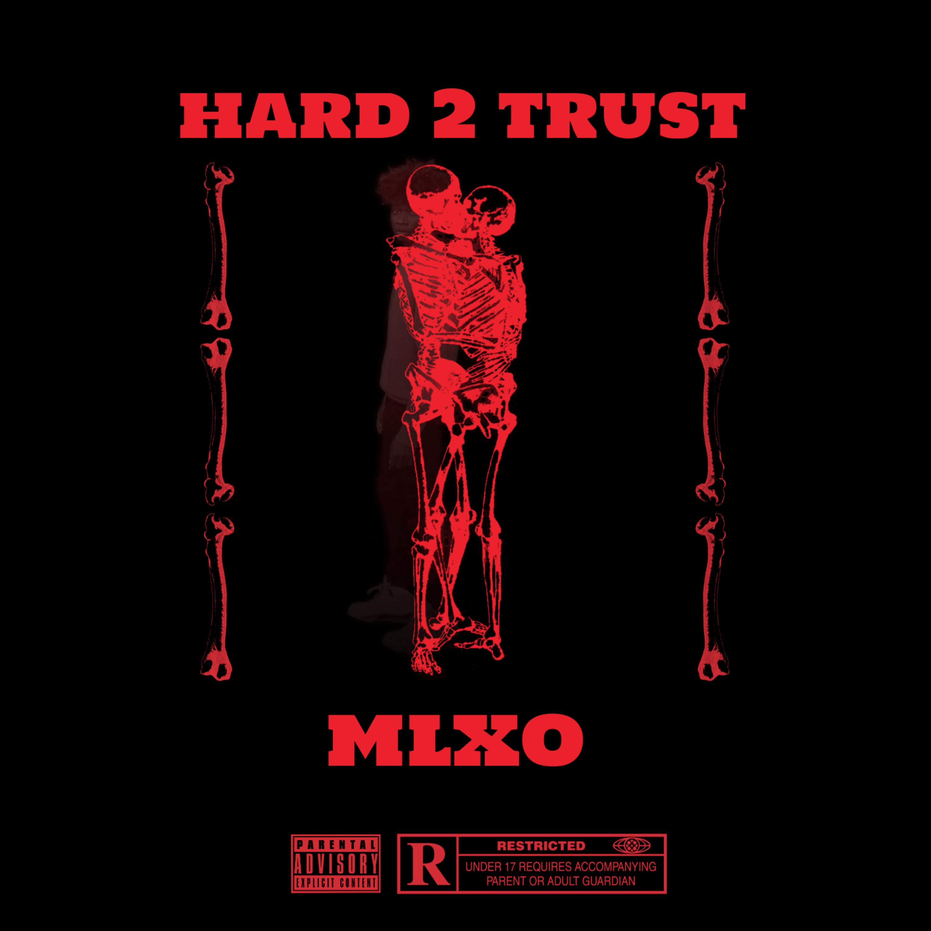 Hard 2 Trust artwork