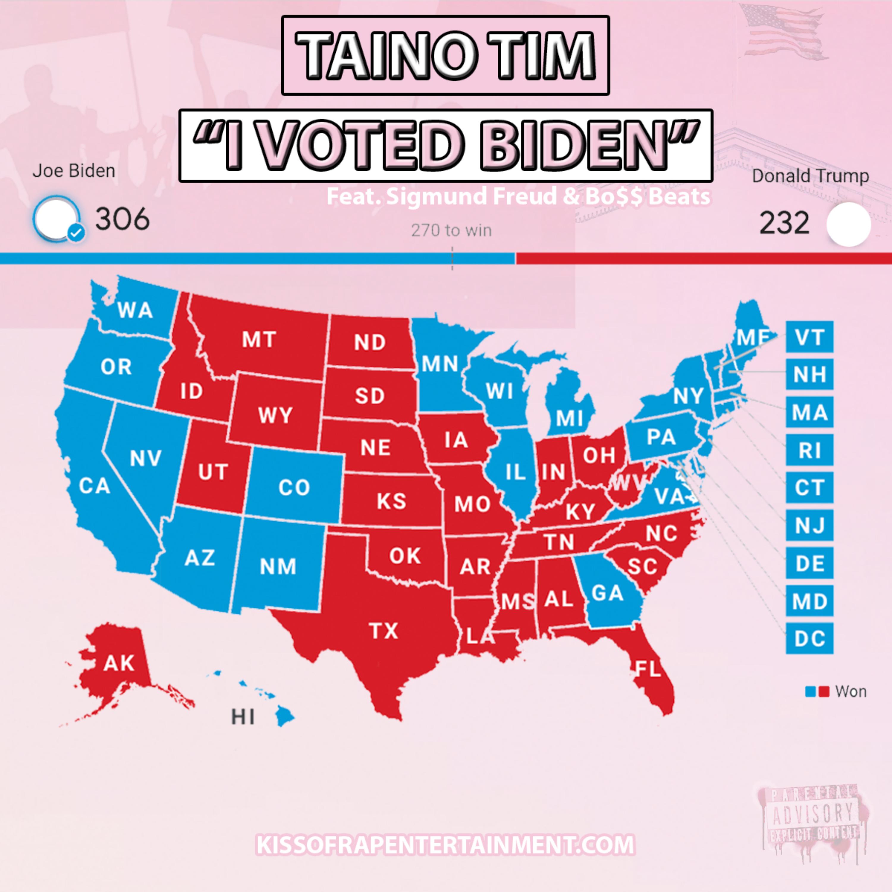 I Voted Biden artwork