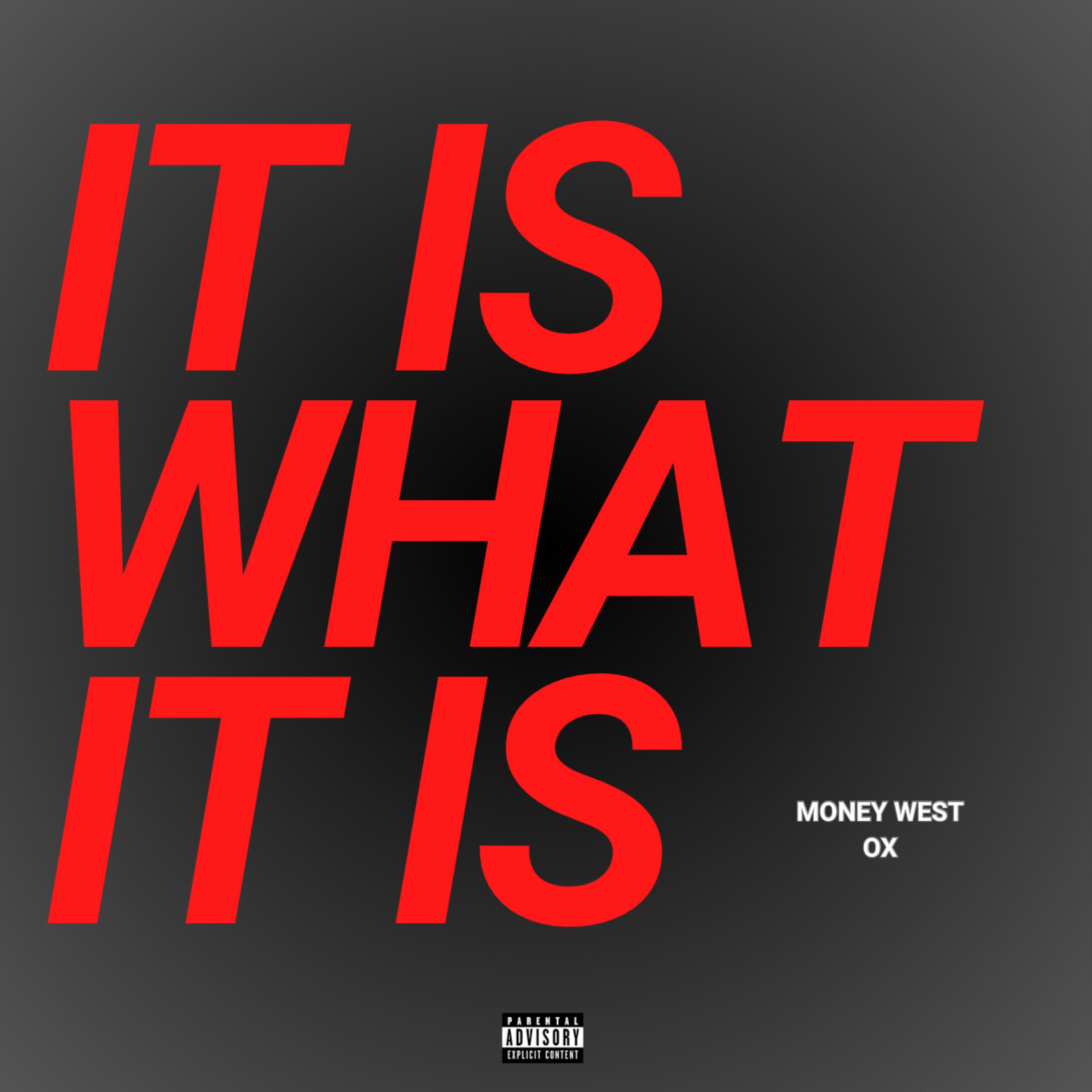 IT IS WHAT IT IS artwork