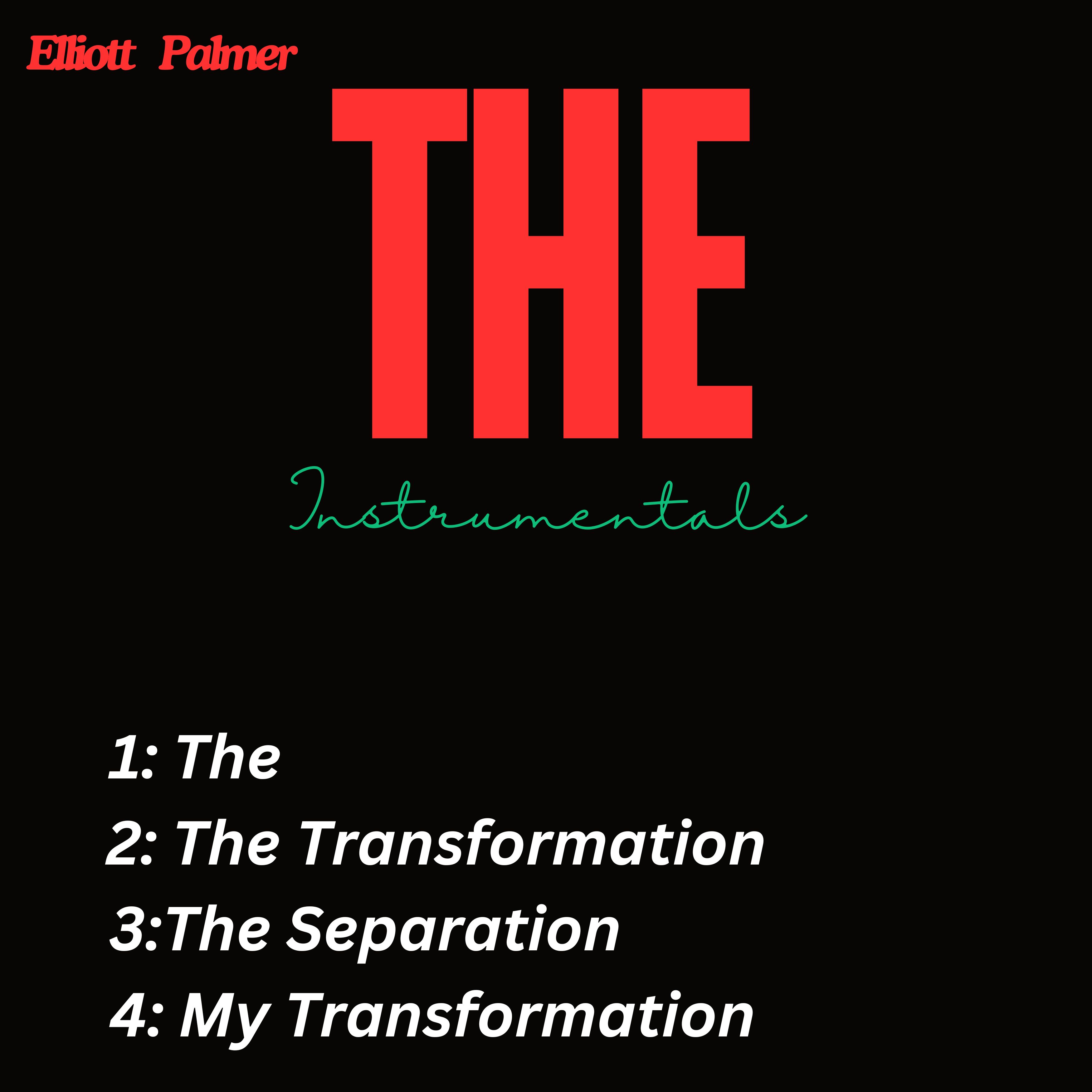 The Instrumentals artwork