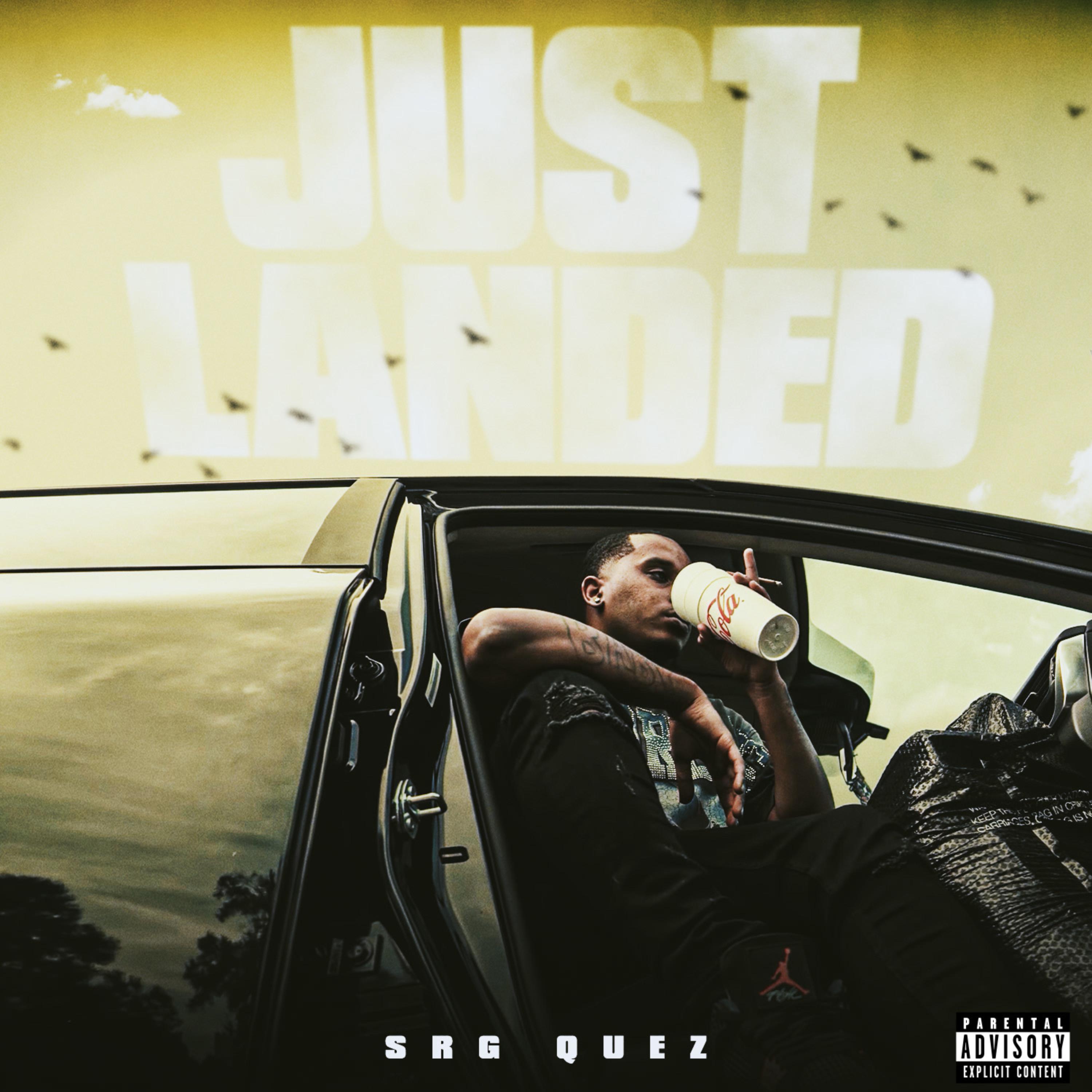Just Landed artwork