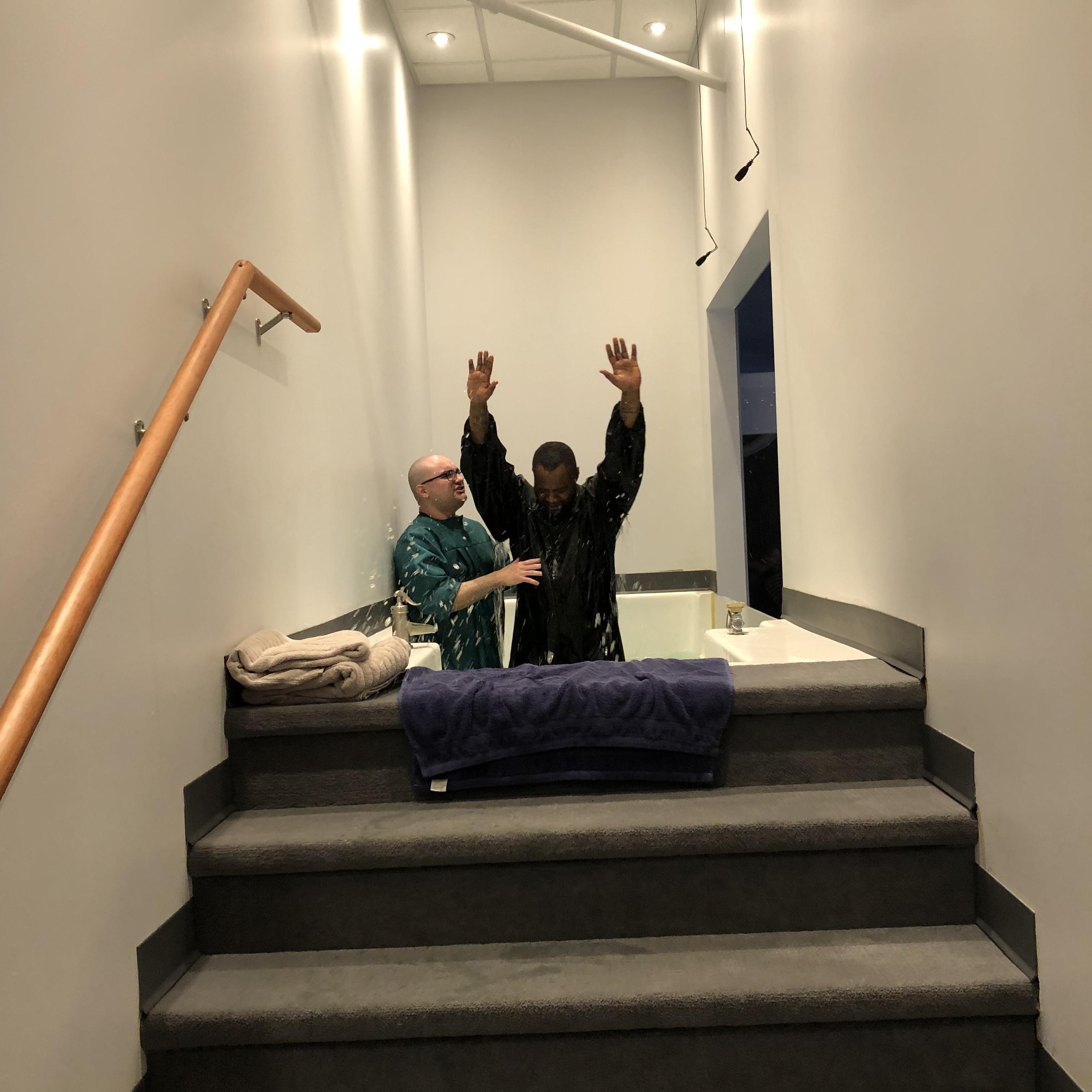 Regeneration artwork