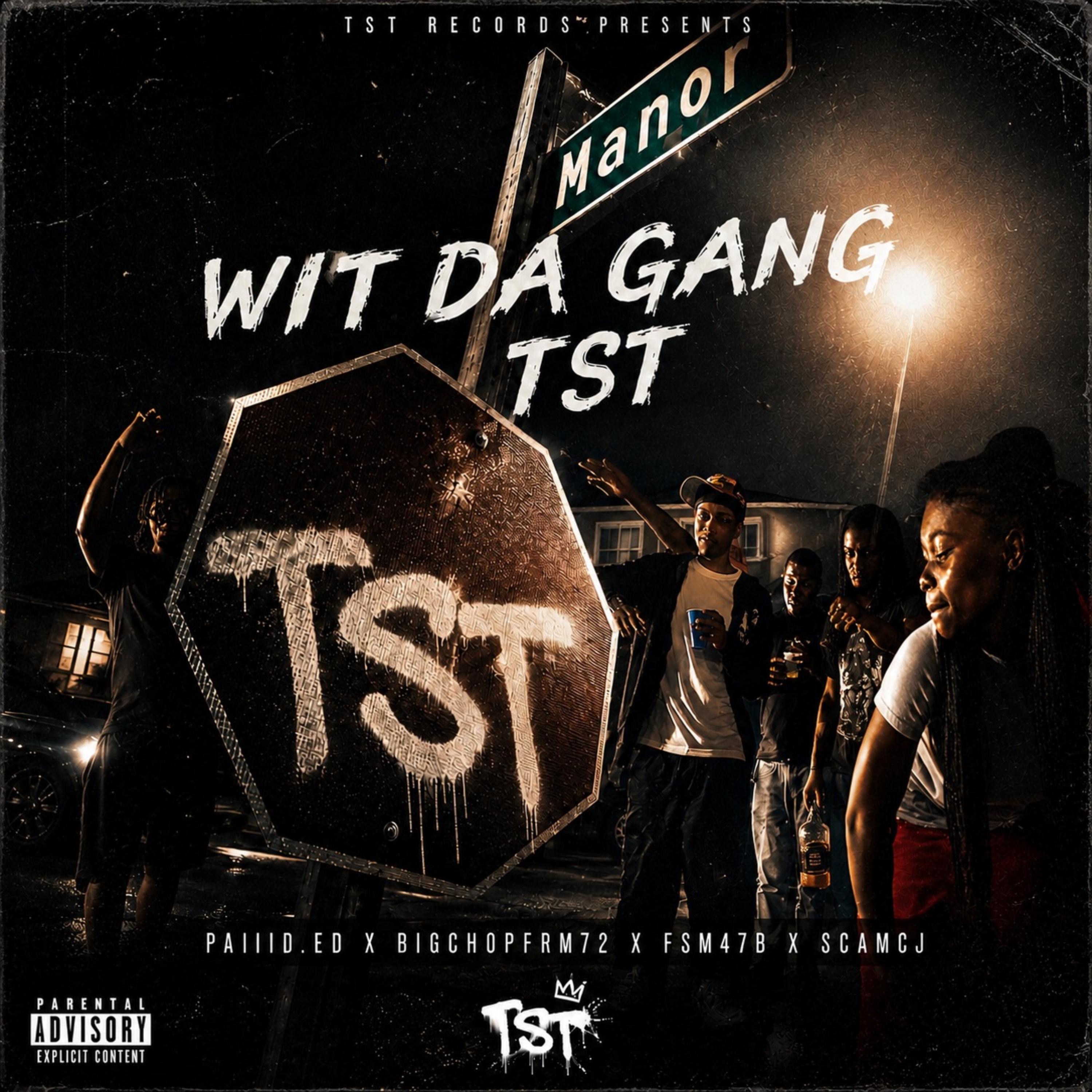 Wit Da gang by TST cover art