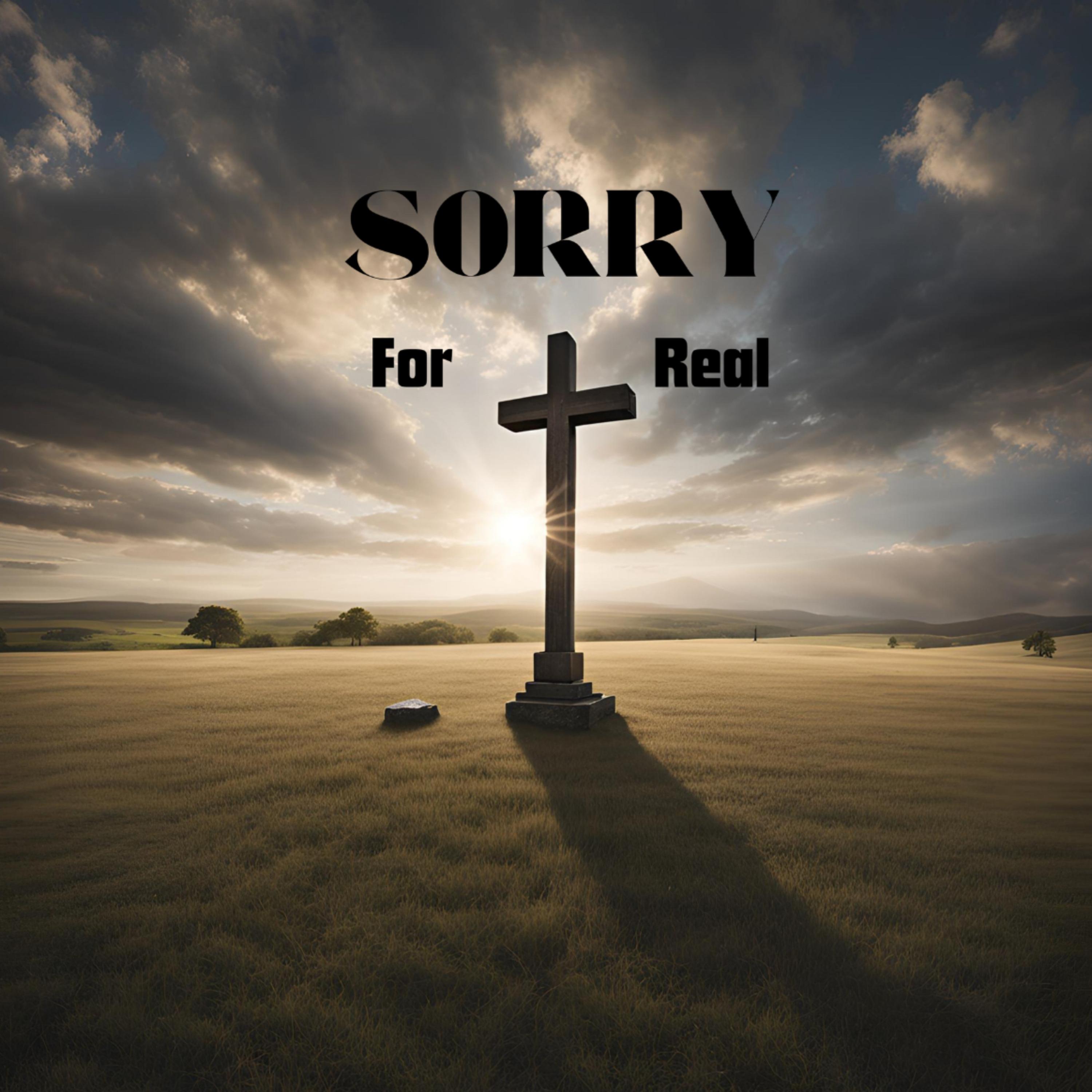 Sorry For Real artwork