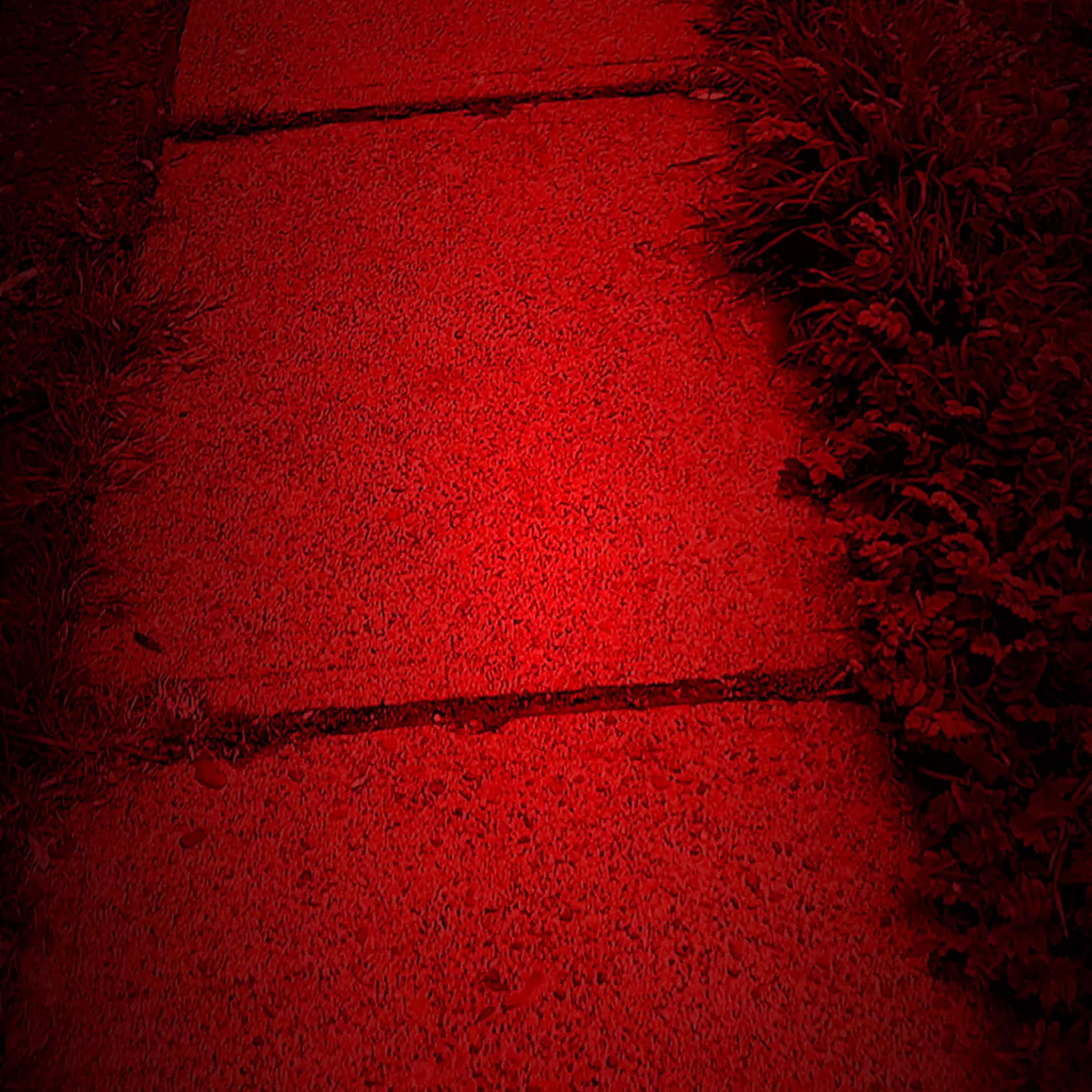 Luces rojas artwork