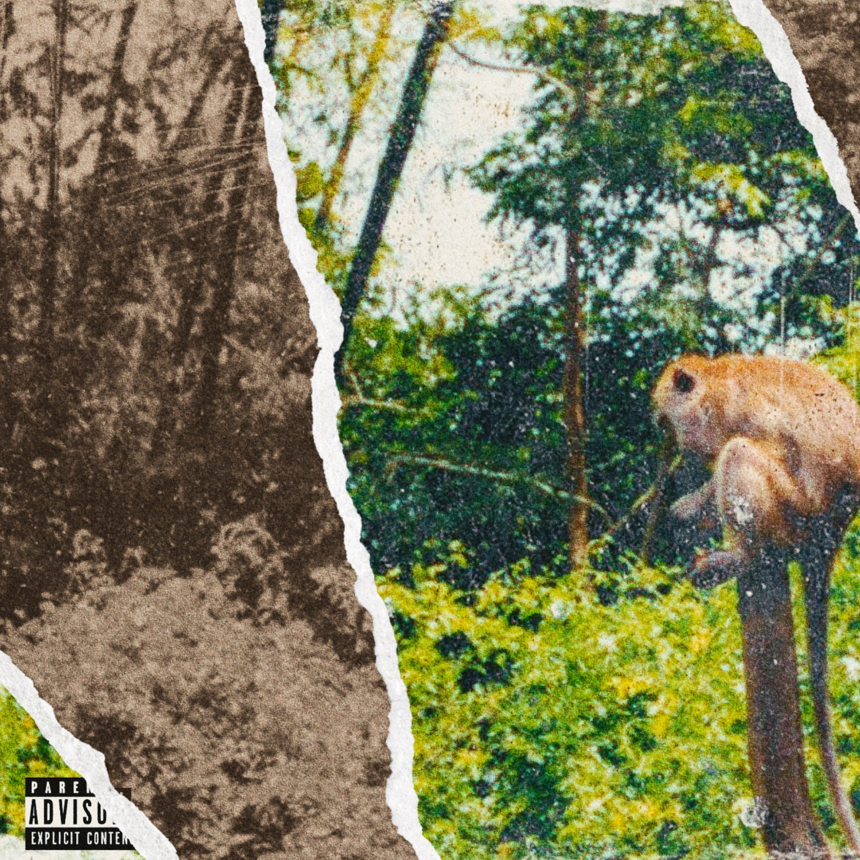 NATURAL SELECTION artwork