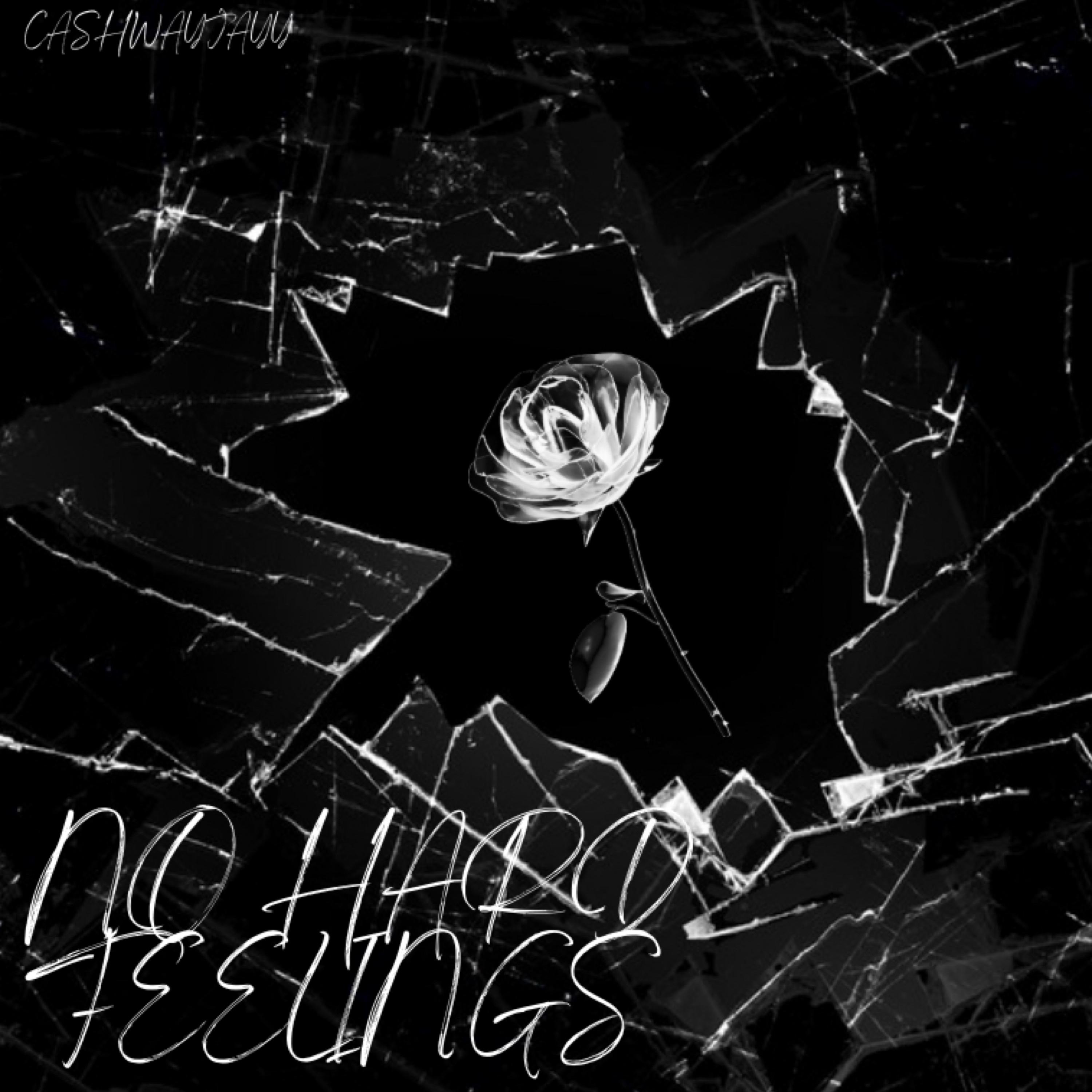 No Hard Feelings by Cashwayjayy cover art