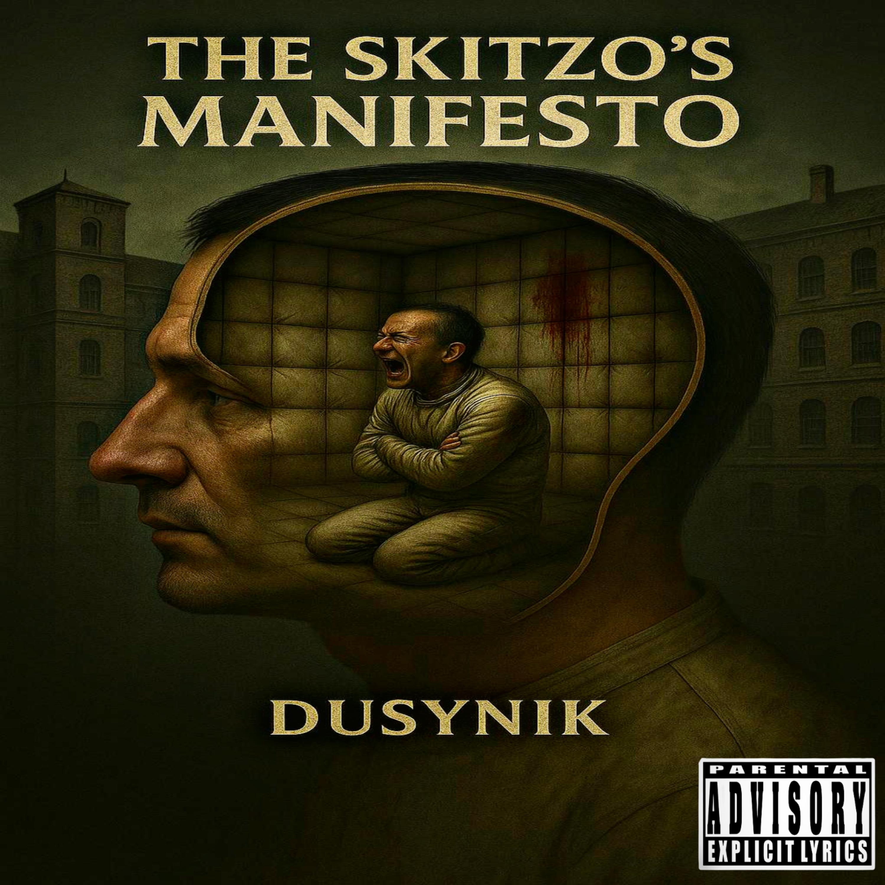 The Skitzo's Manifesto artwork