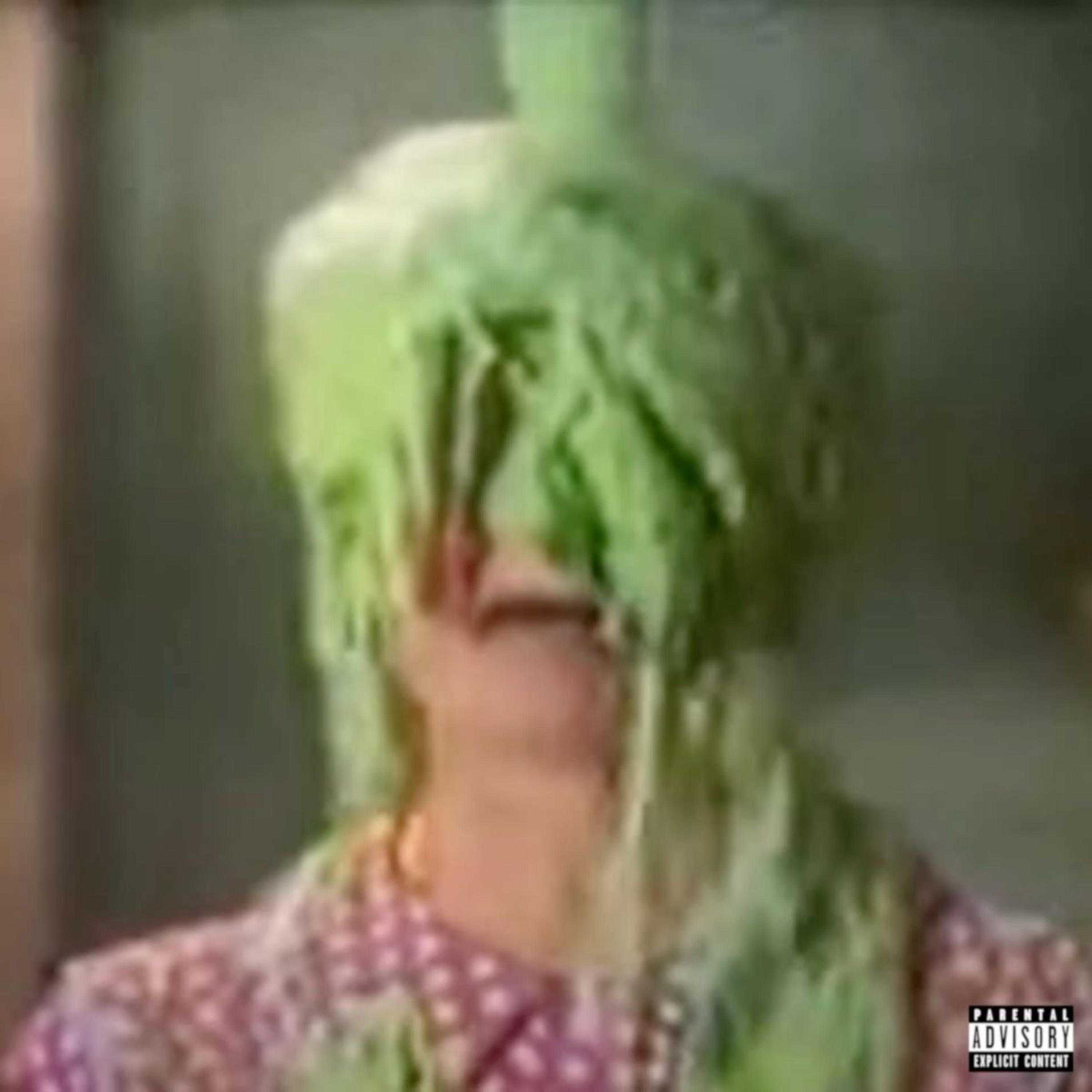 DONT GET SLIMED artwork