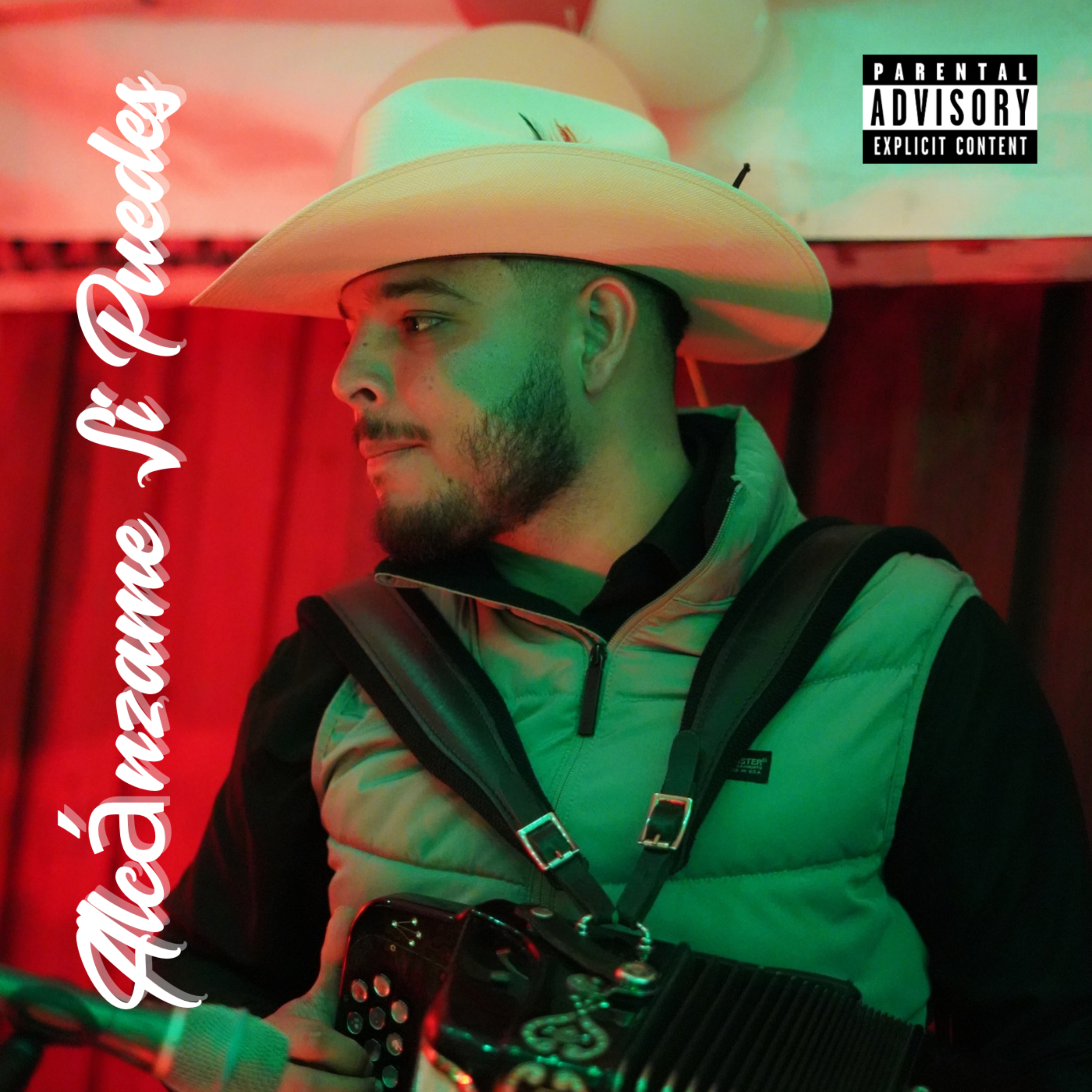 Alcánzame Si Puedes artwork