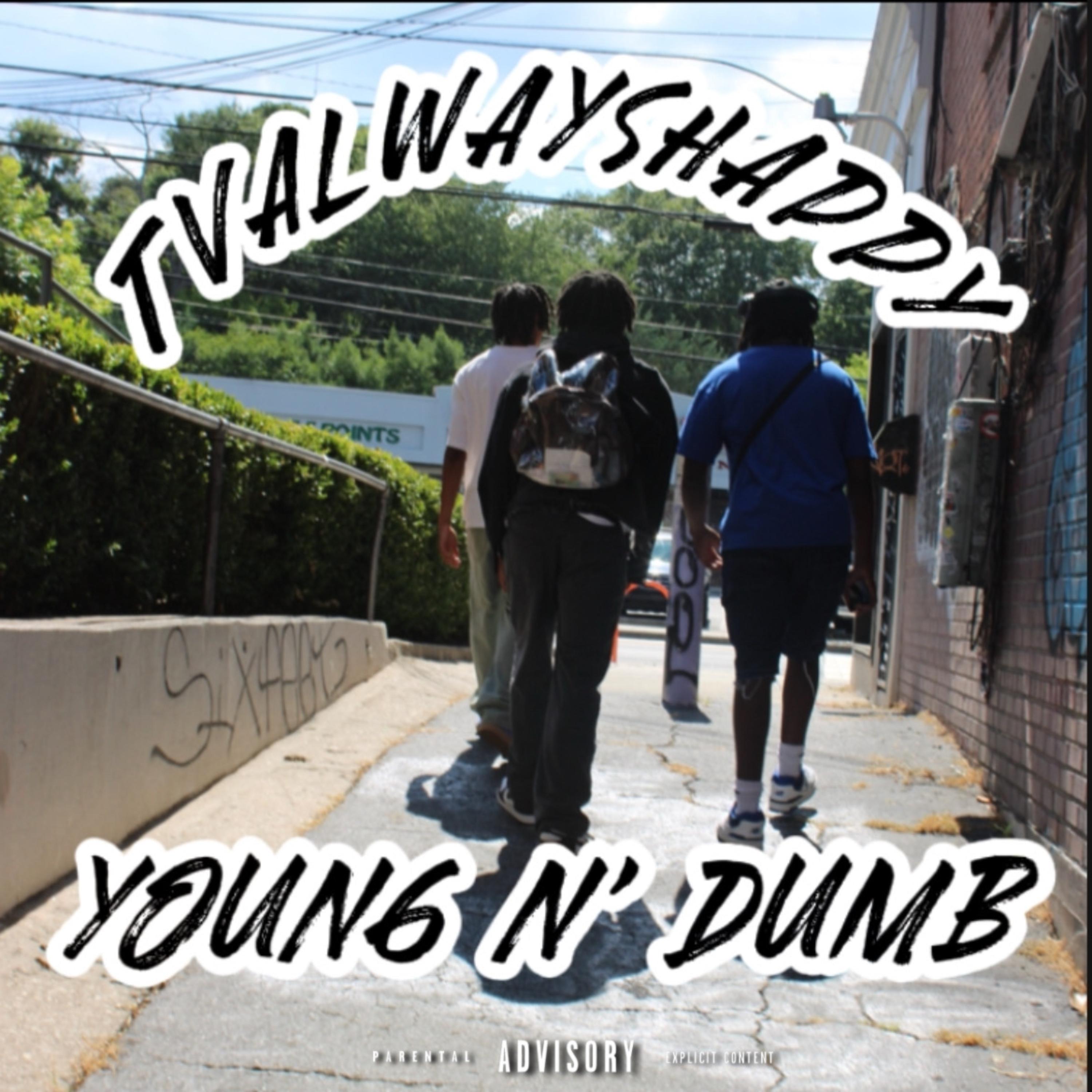 Young N’ Dumb artwork