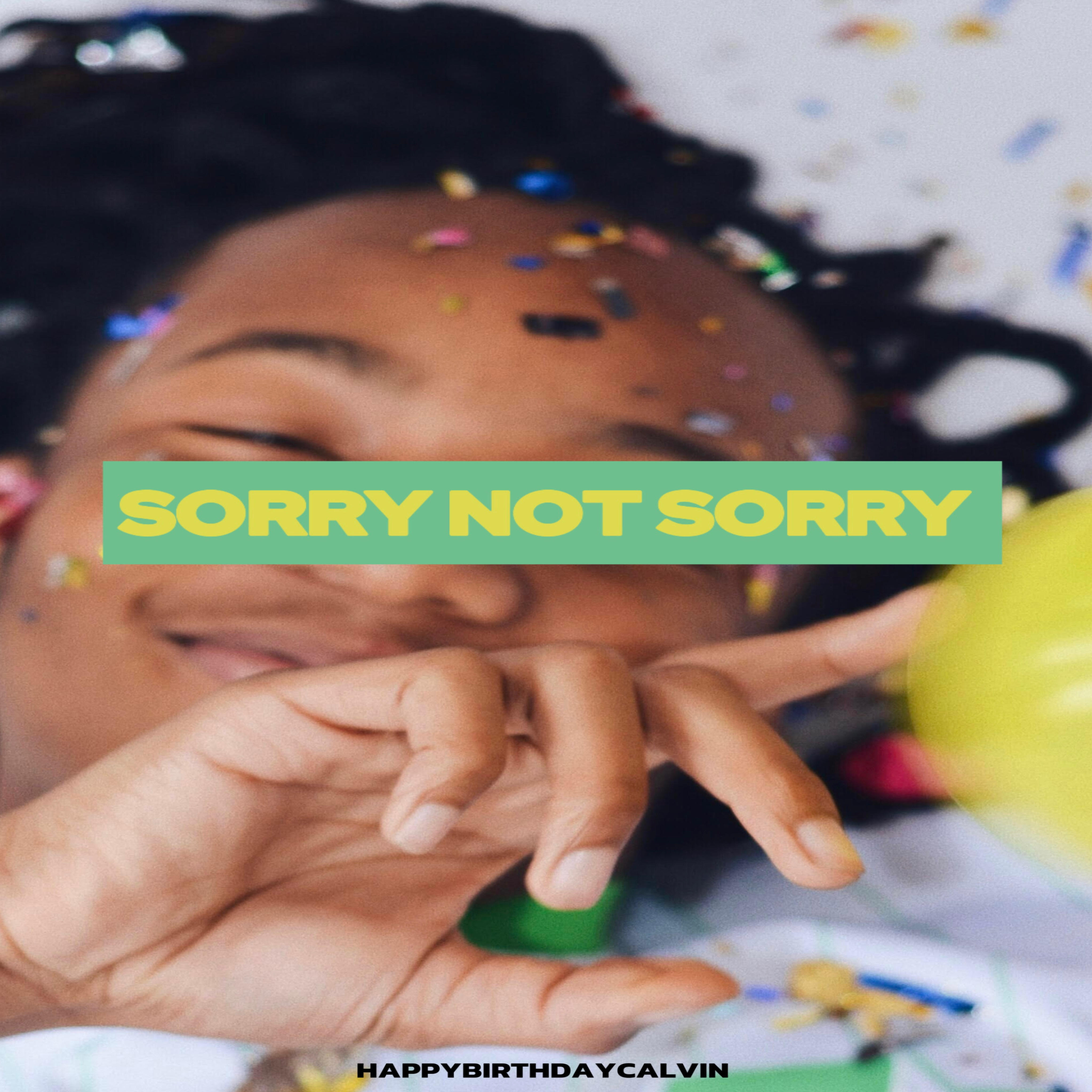 Sorry Not Sorry artwork