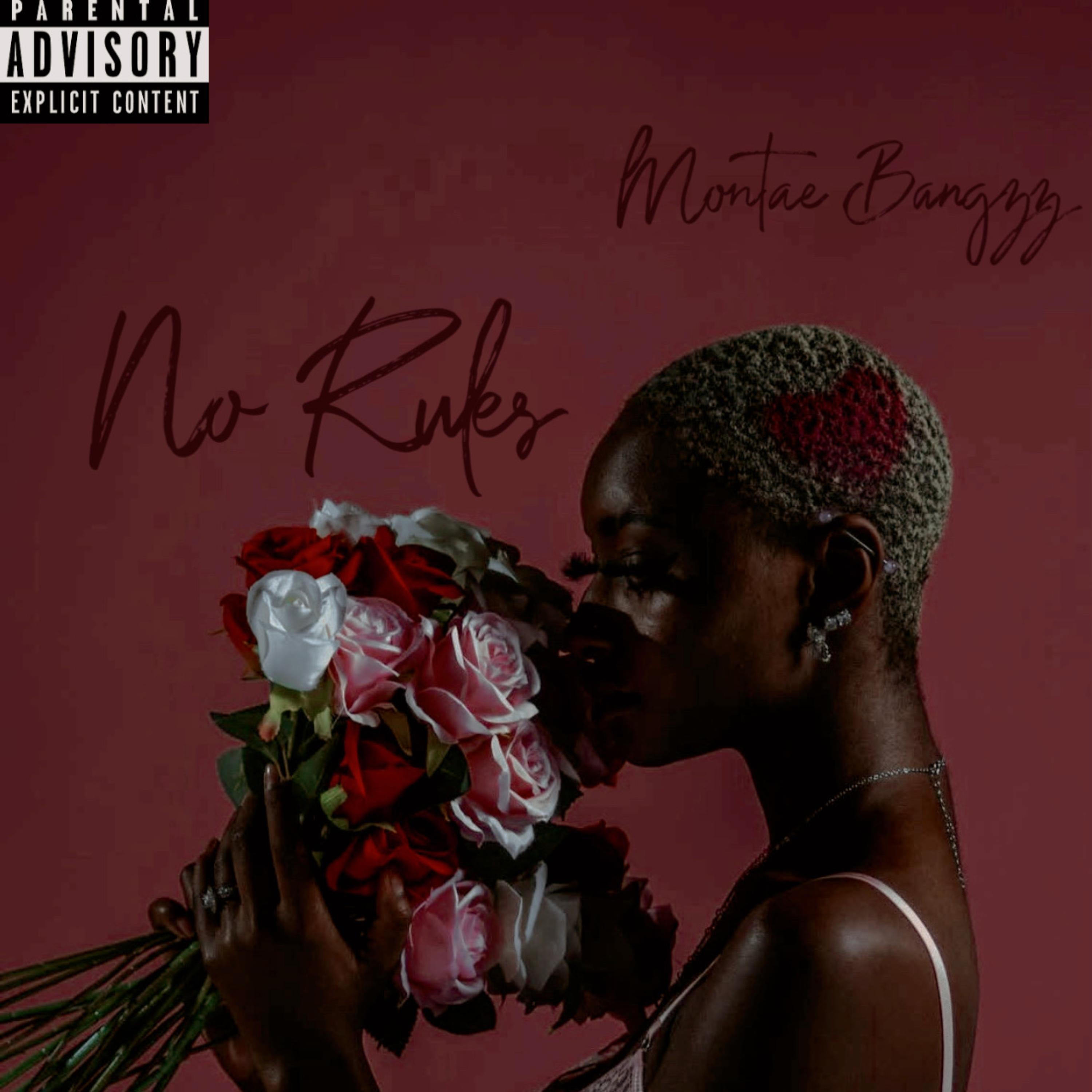 No Rules artwork