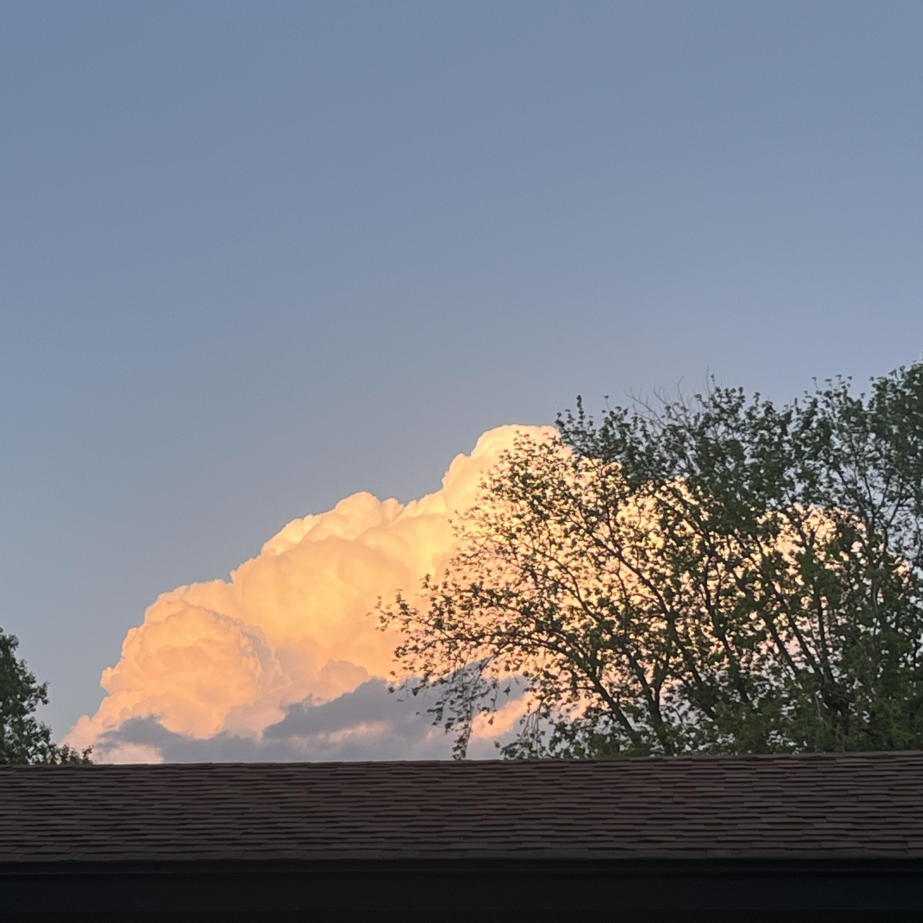 DECEMBER/dont look back kid artwork