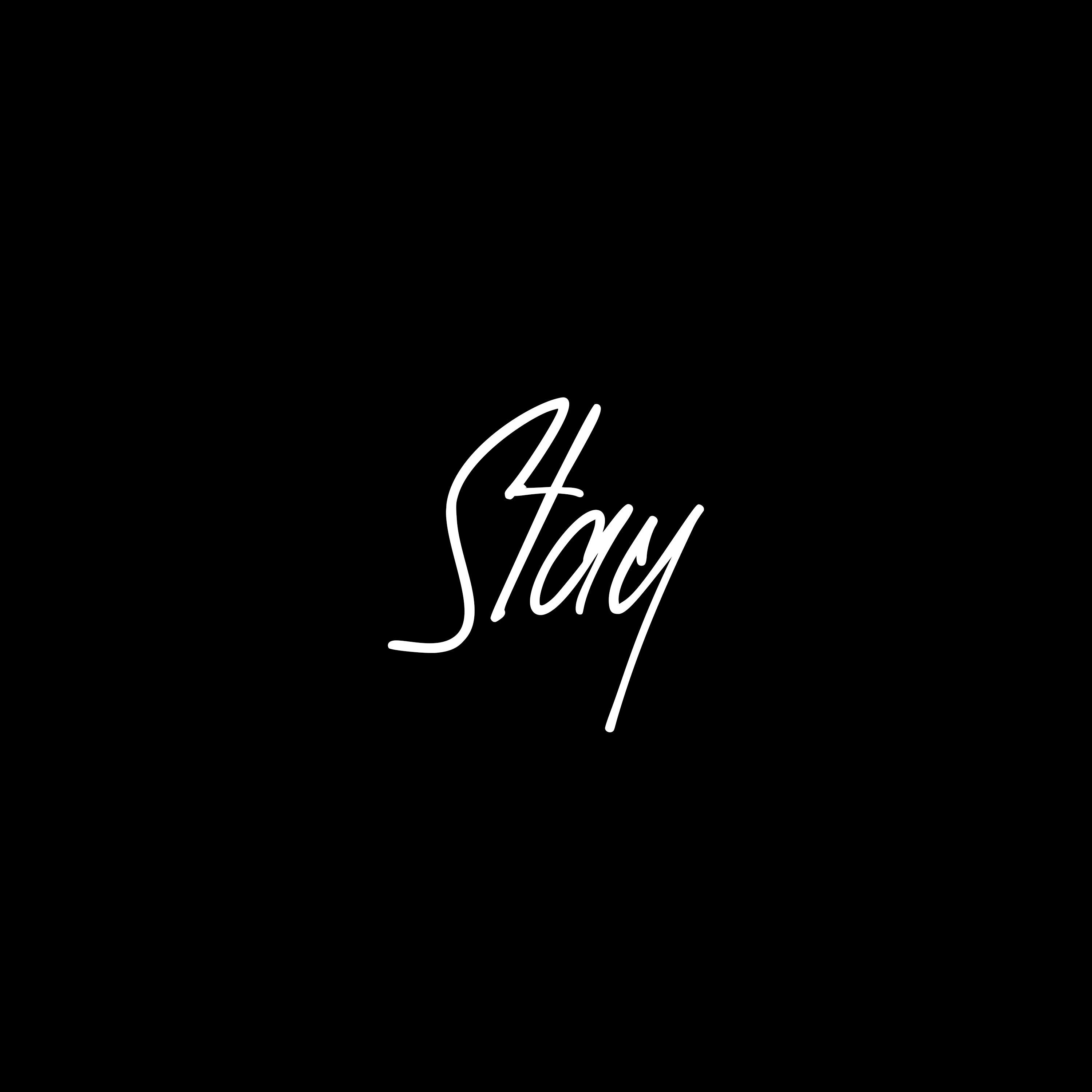 Stay artwork