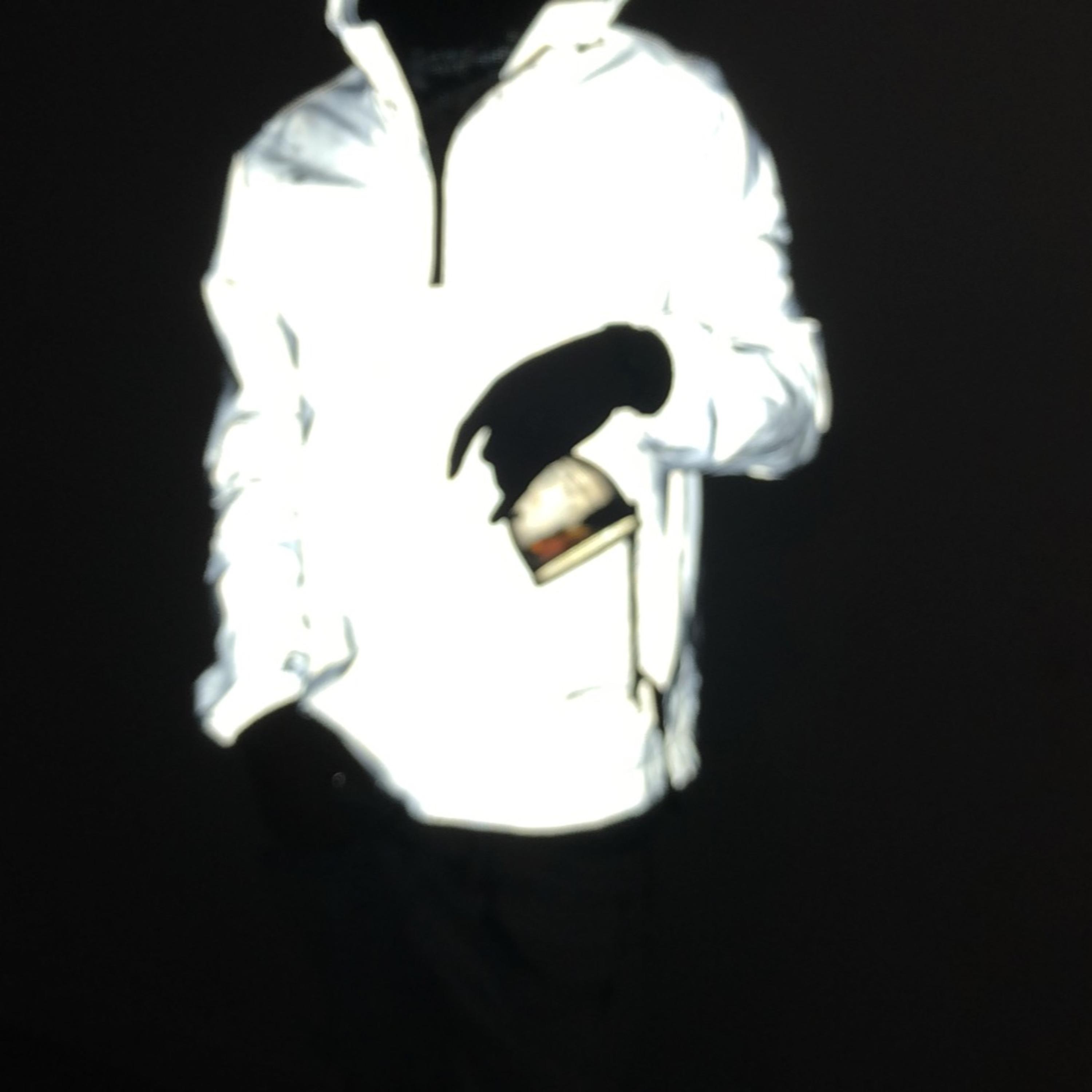 Winter Jacket artwork