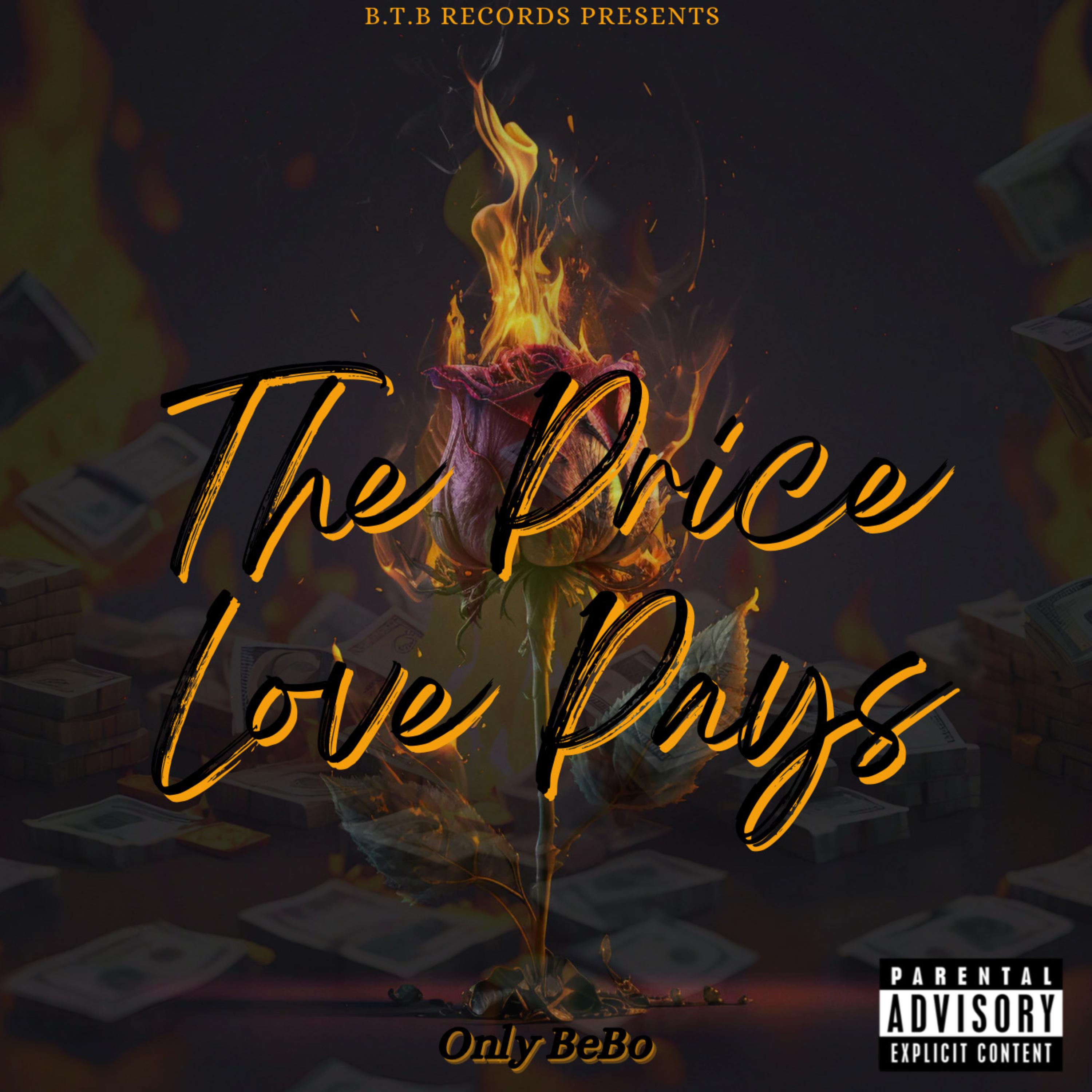 The Price Love Pays artwork