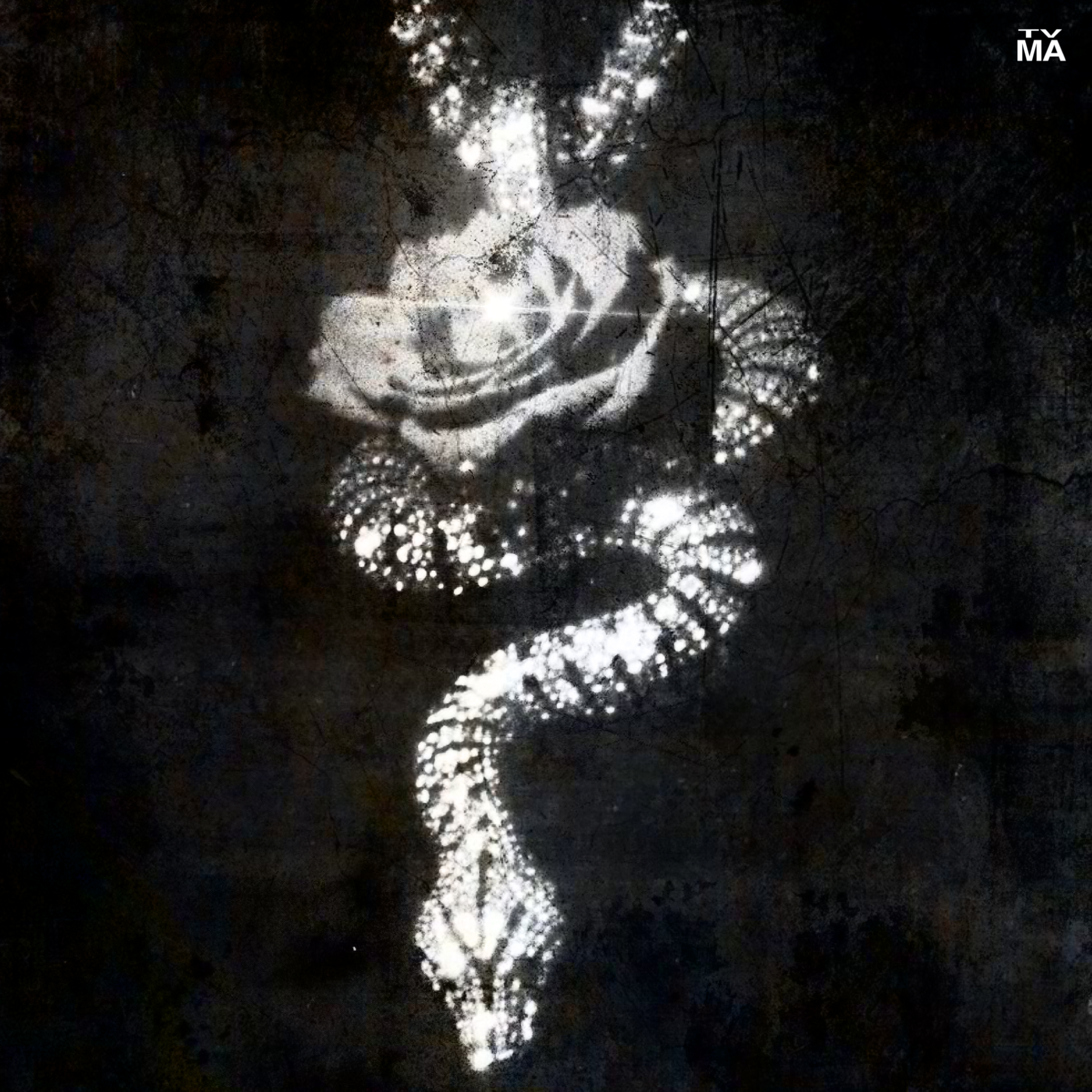 SNAKE artwork