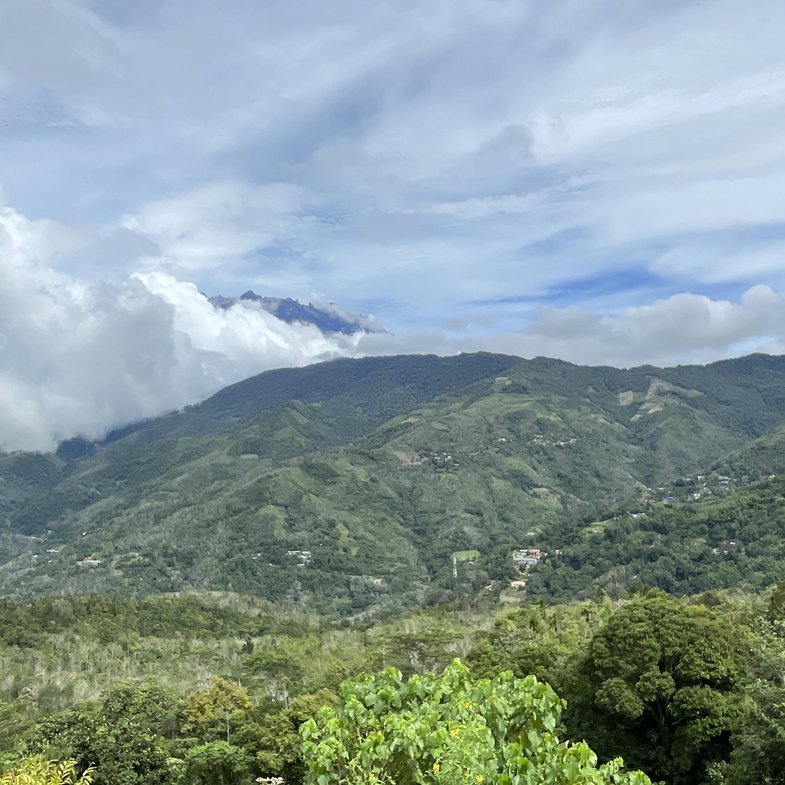 Aduh Mama Siok artwork