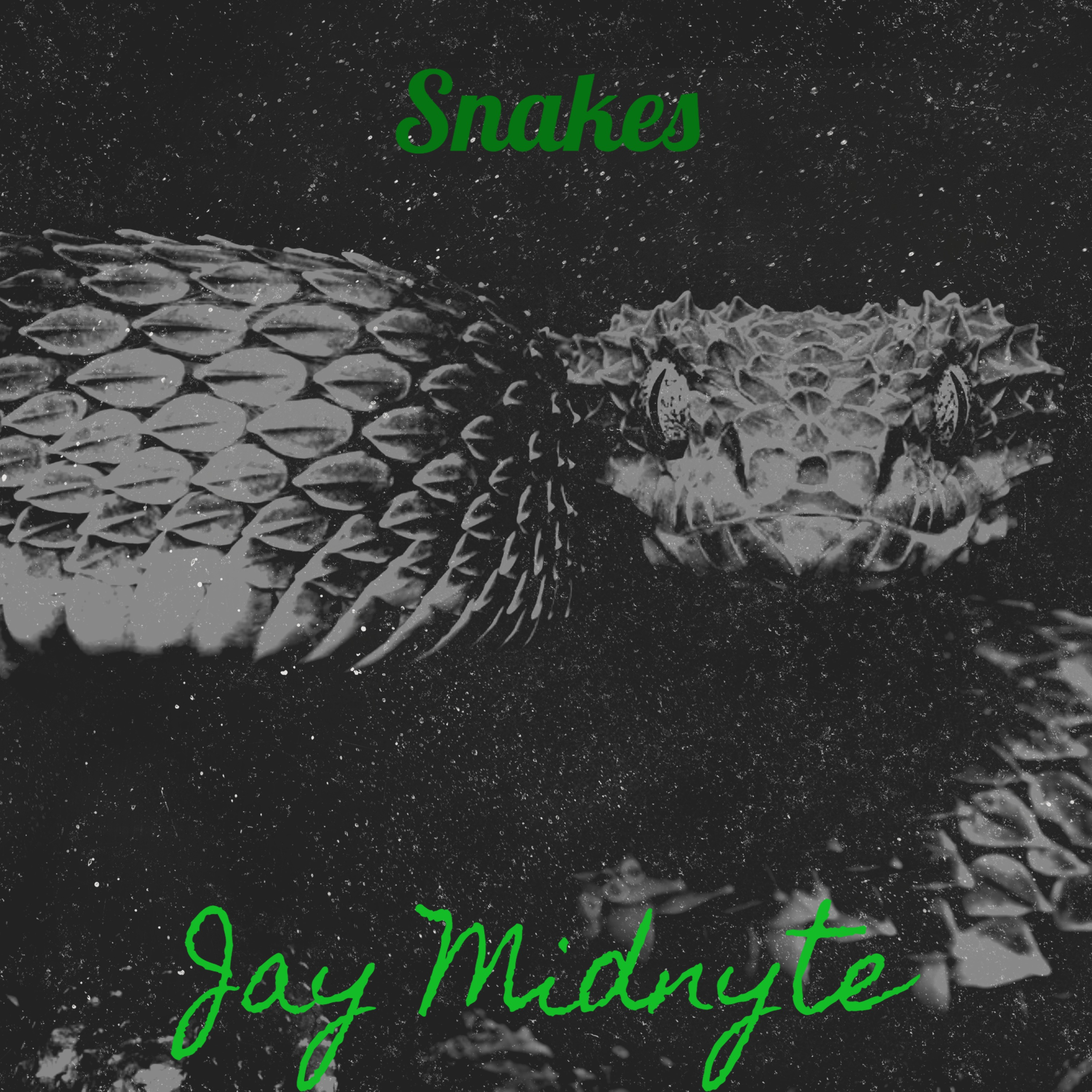 Snakes artwork