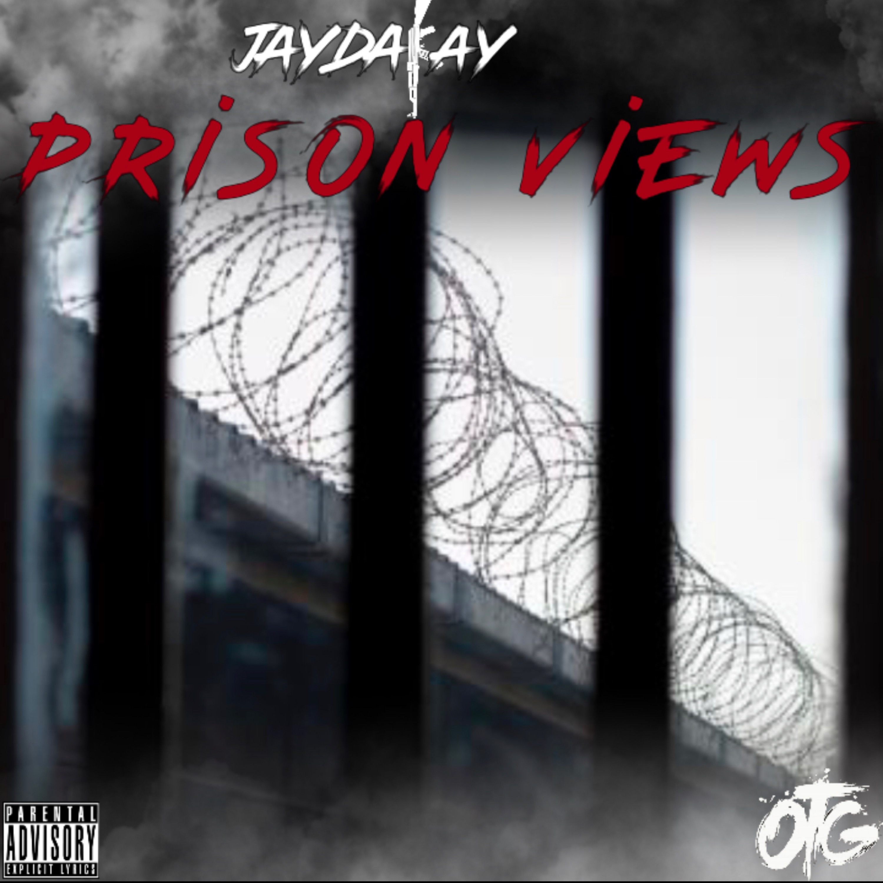 PRISON VIEWS artwork