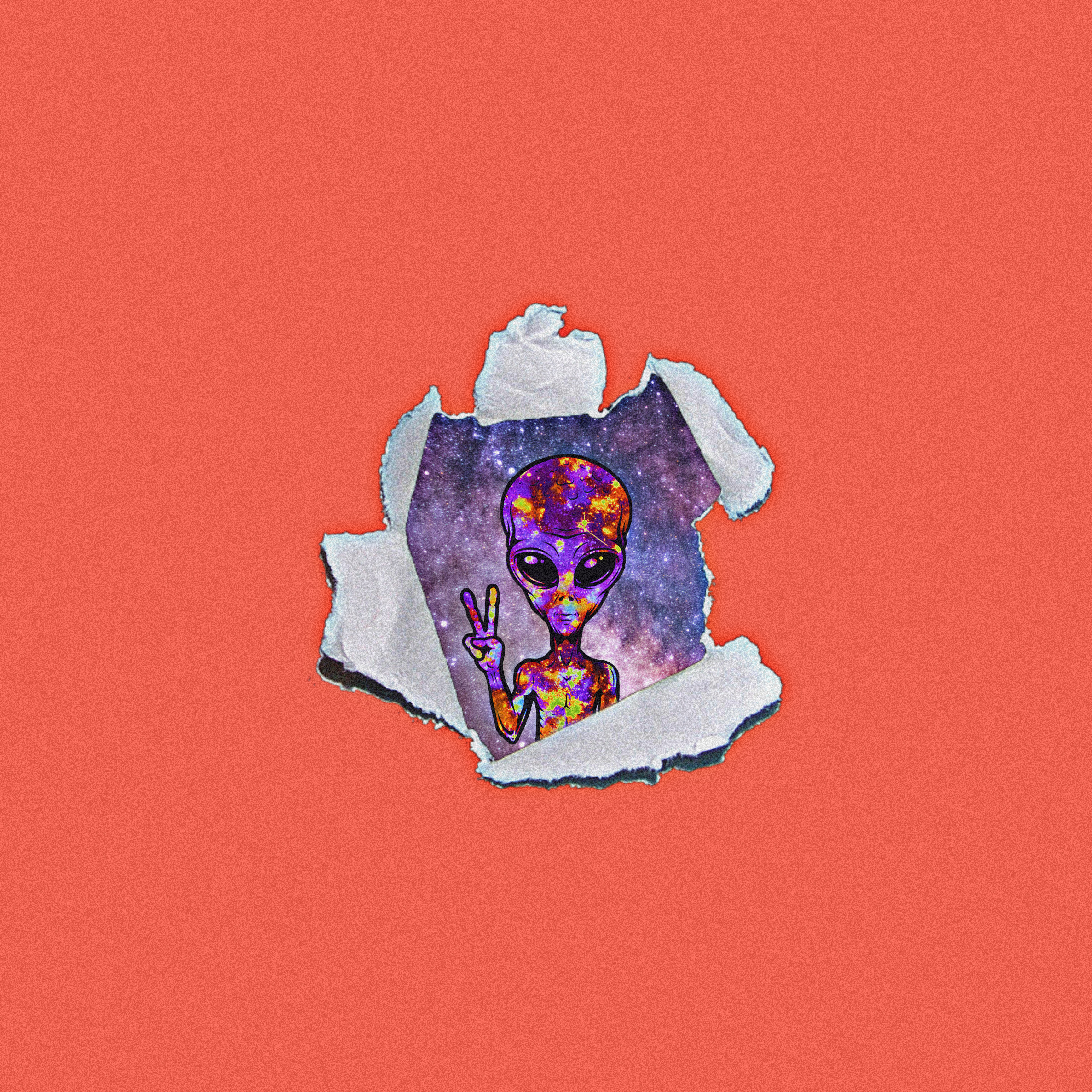 Disguise artwork