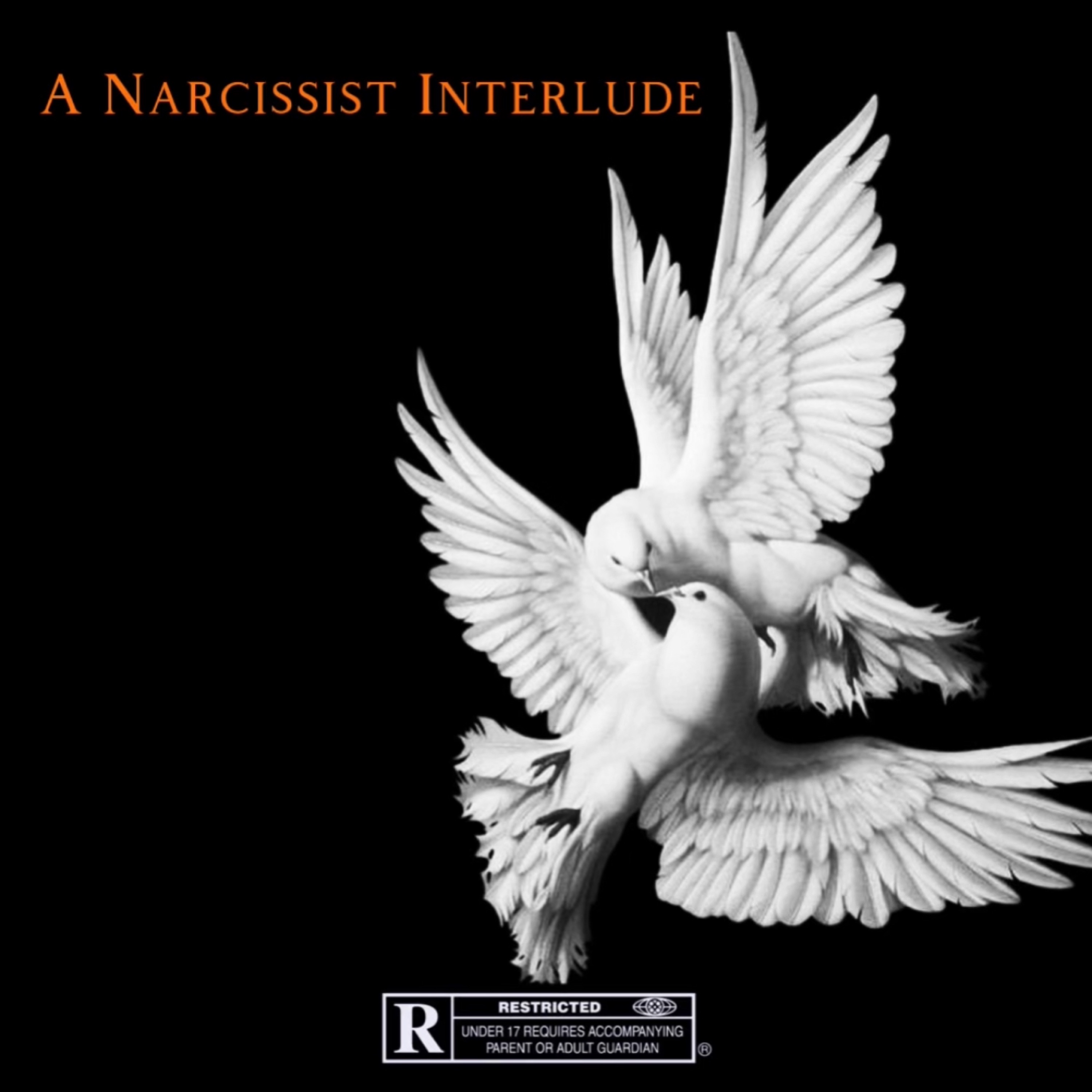 A Narcissistic Interlude artwork