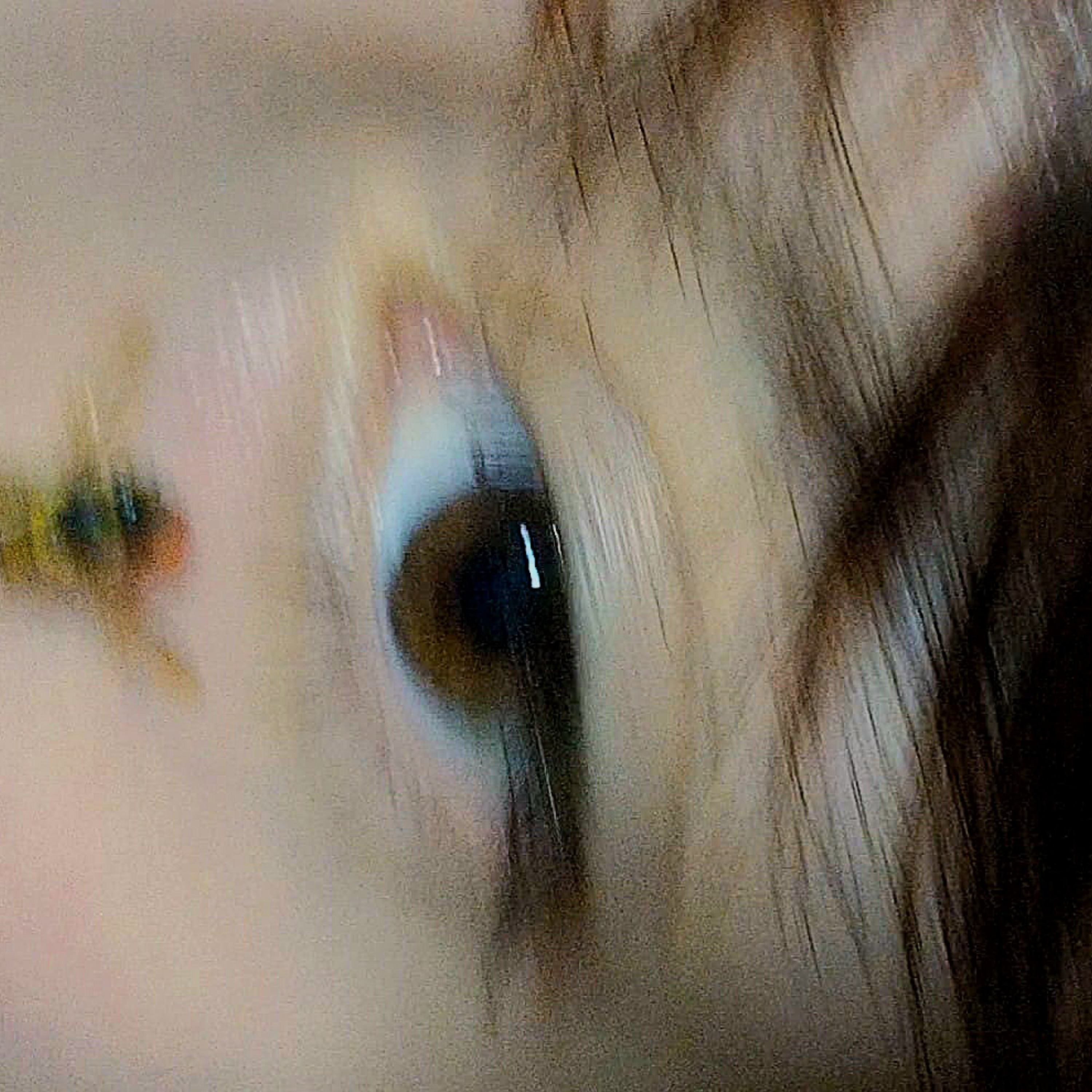 LIE 2 ME artwork