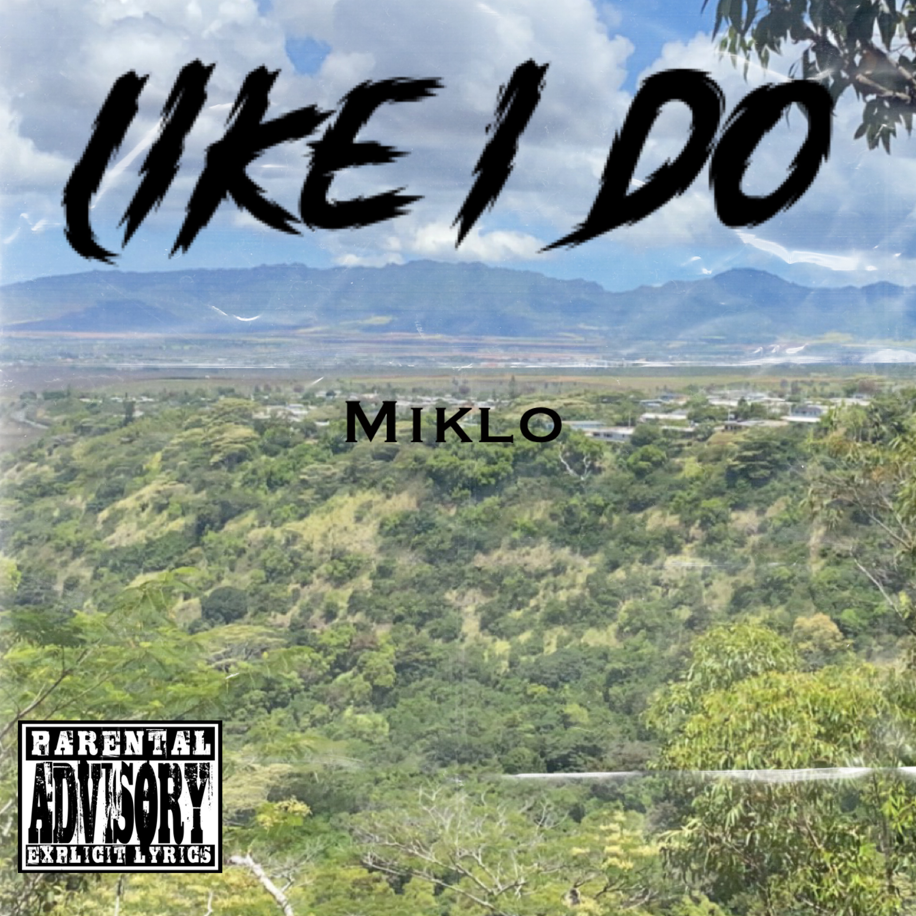 Like I Do artwork