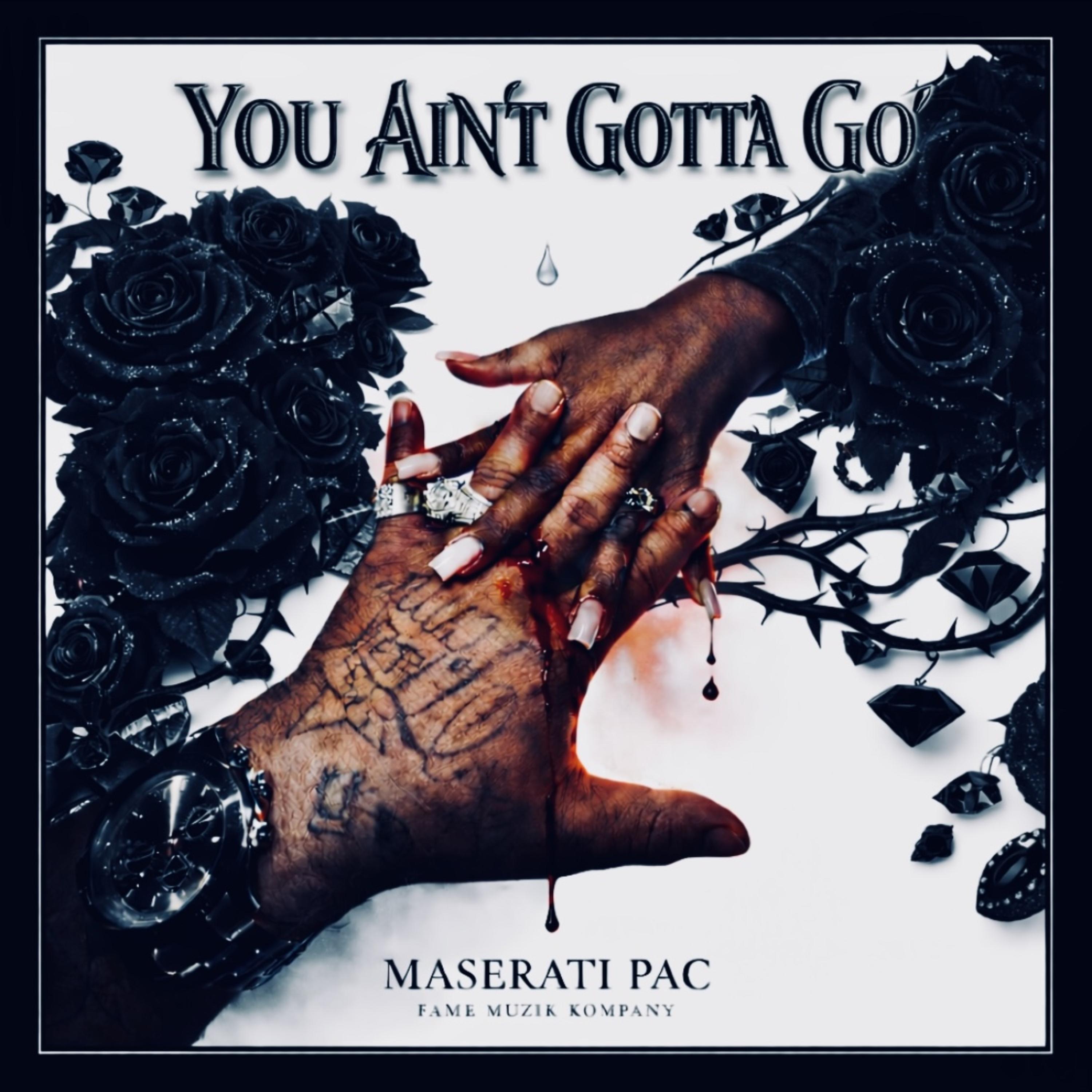 YOU AINT GOTTA GO artwork