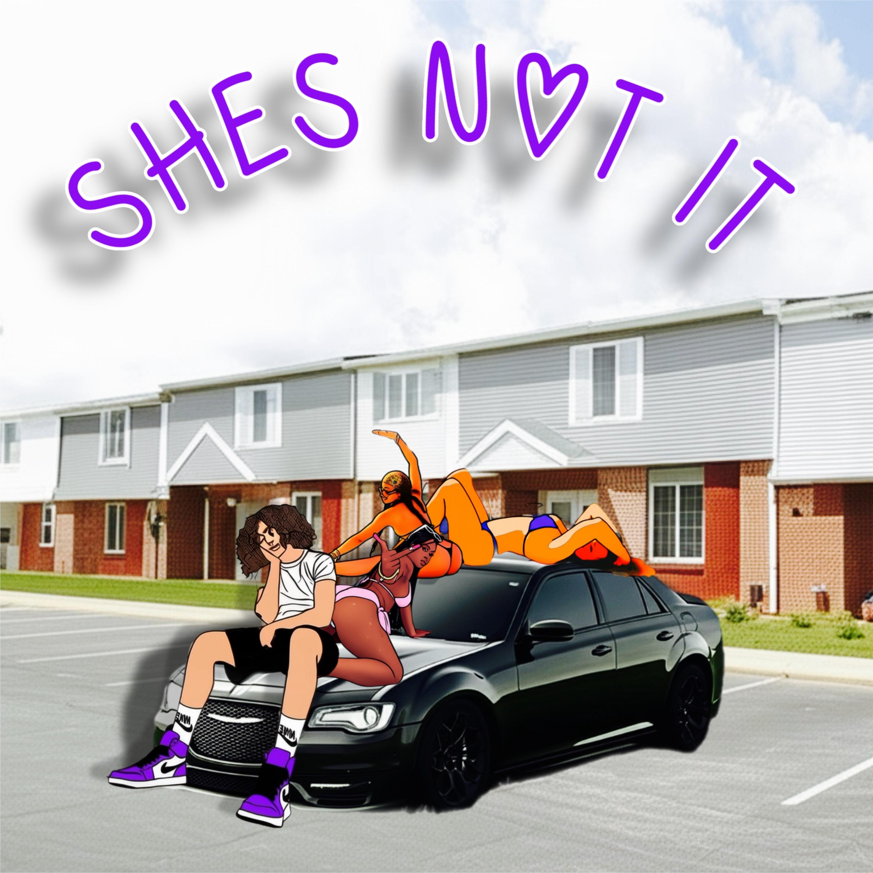 SHES NOT IT artwork
