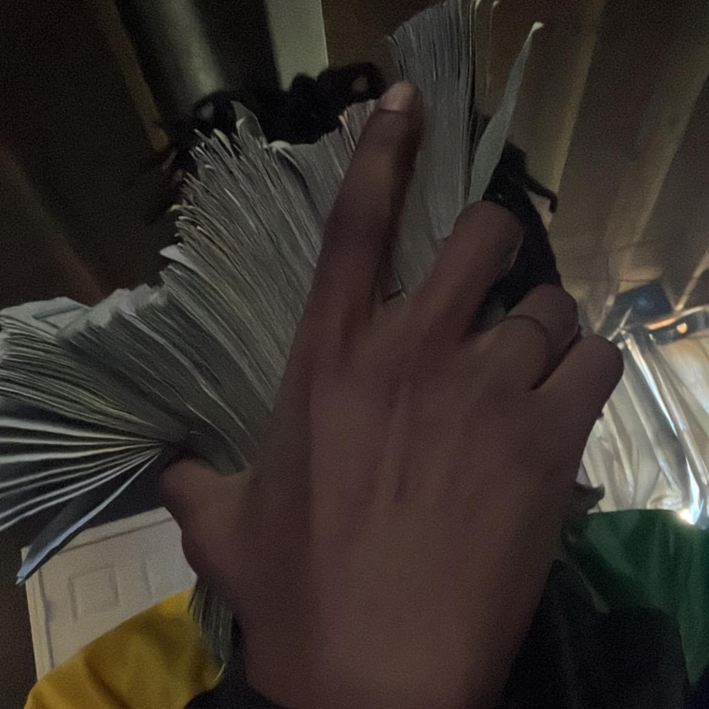 Mind Of A Menace artwork