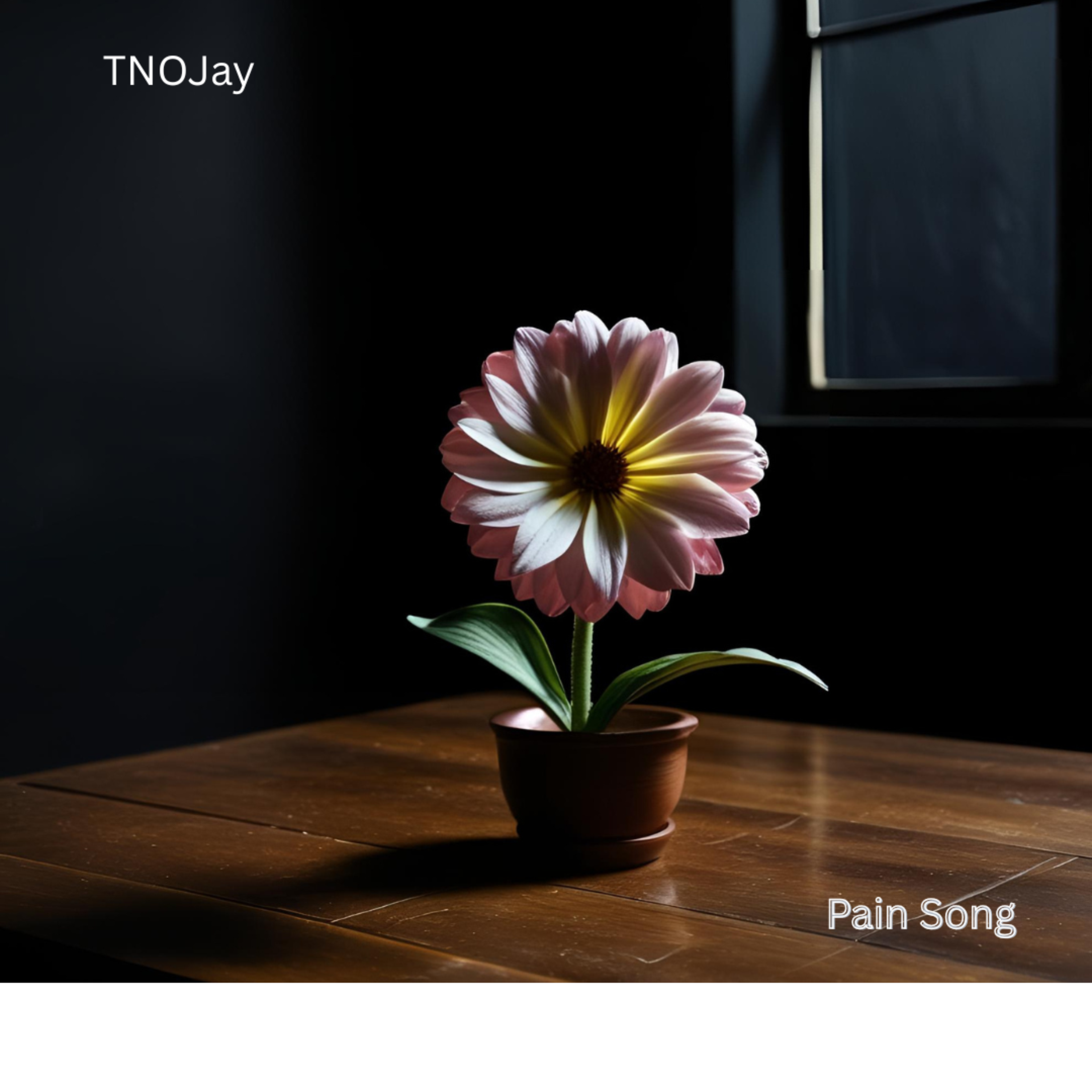 Pain Song by TNOJay cover art