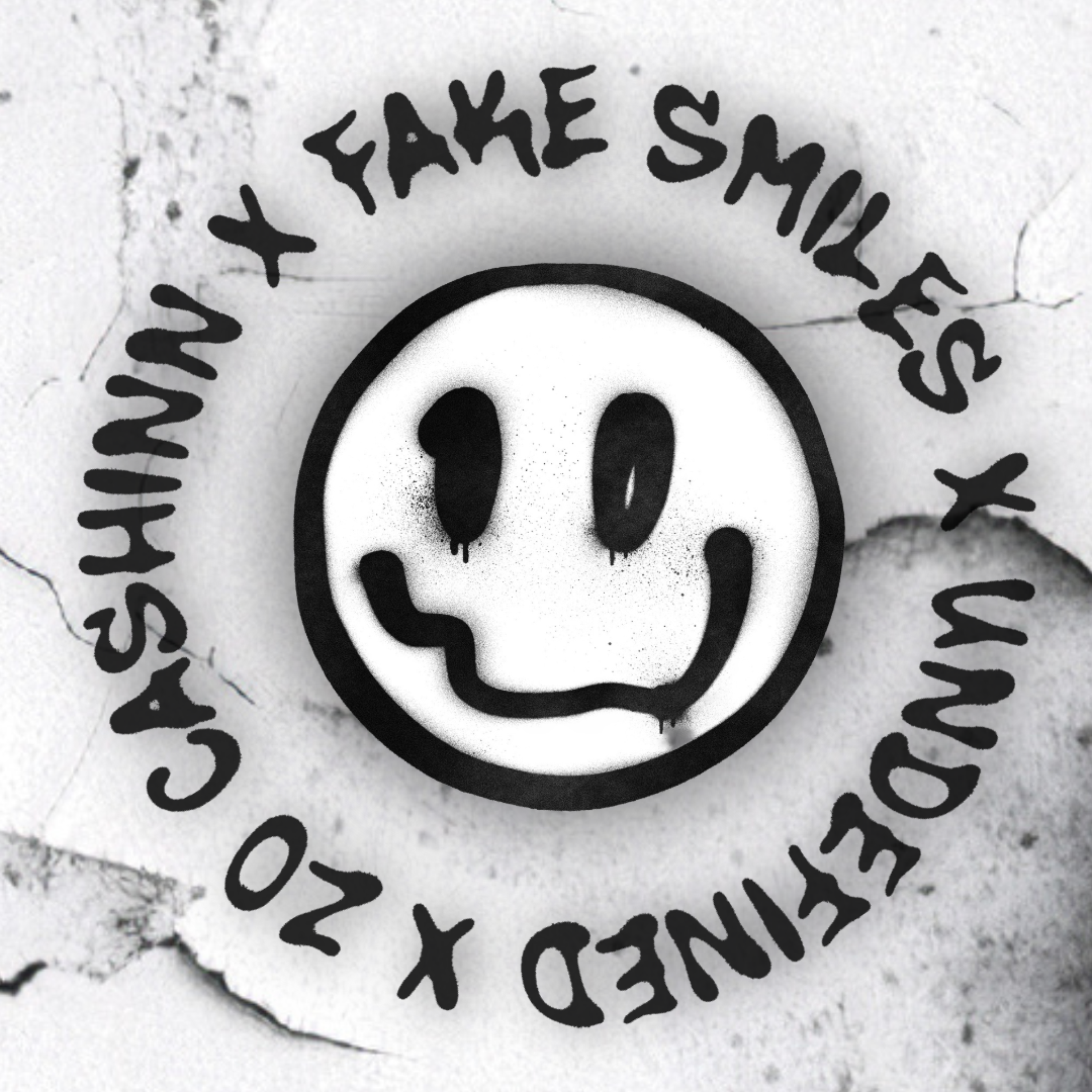 Fake Smiles by Undefined cover art