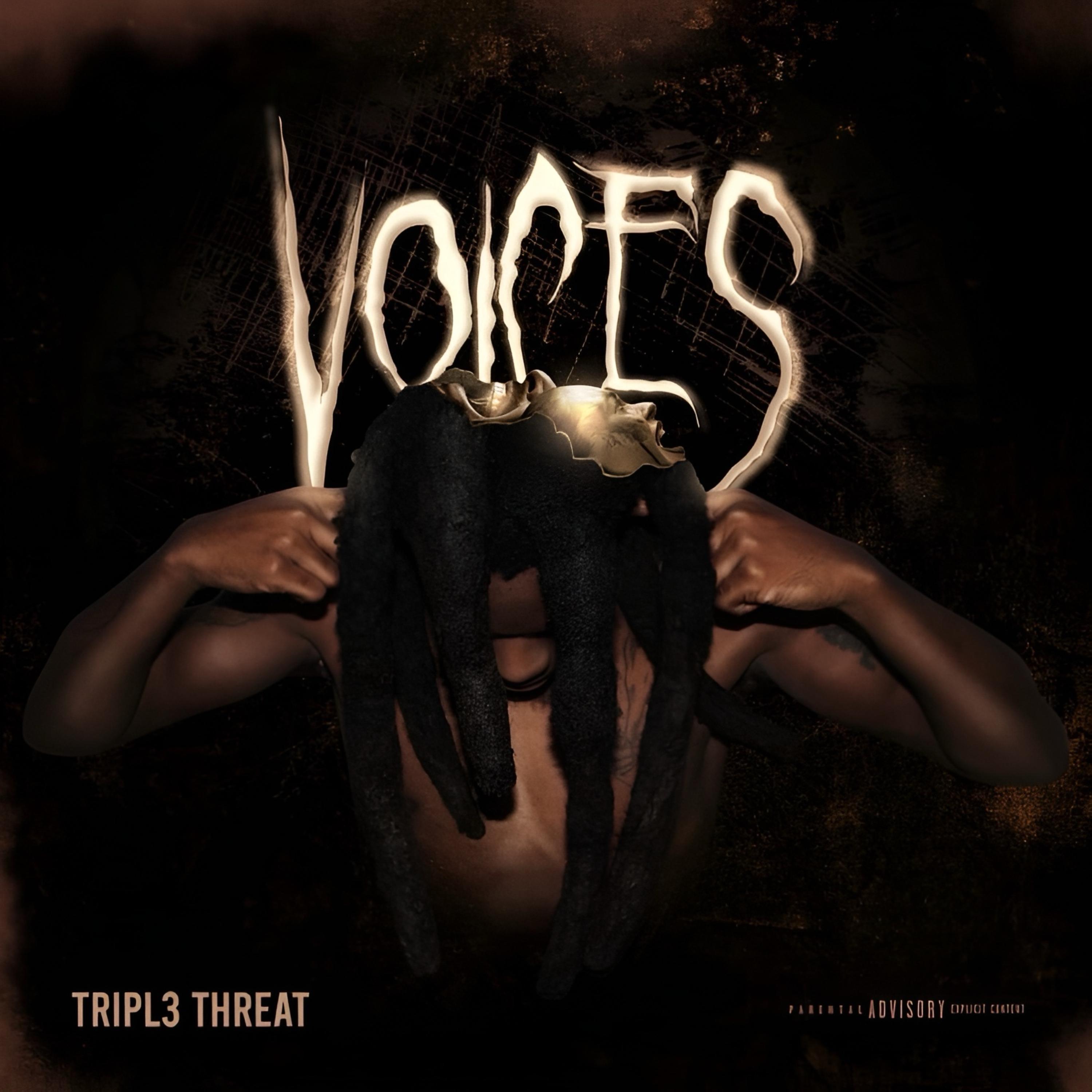 Voices artwork