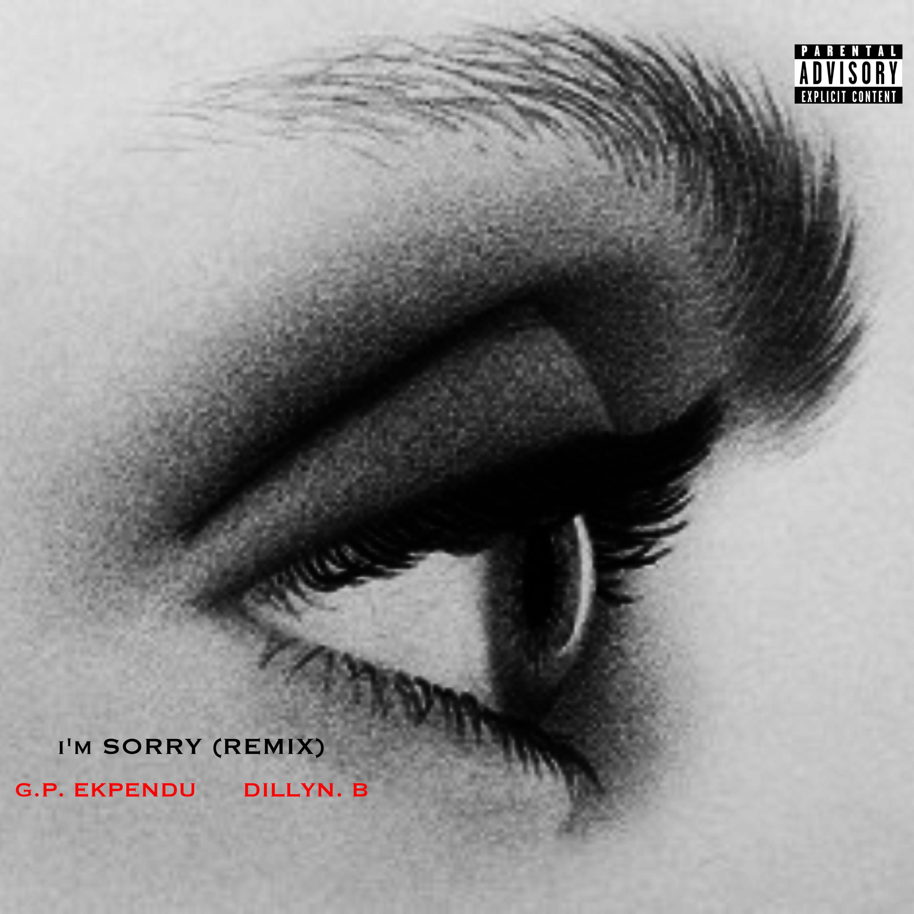 i'm SORRY (REMIX) artwork