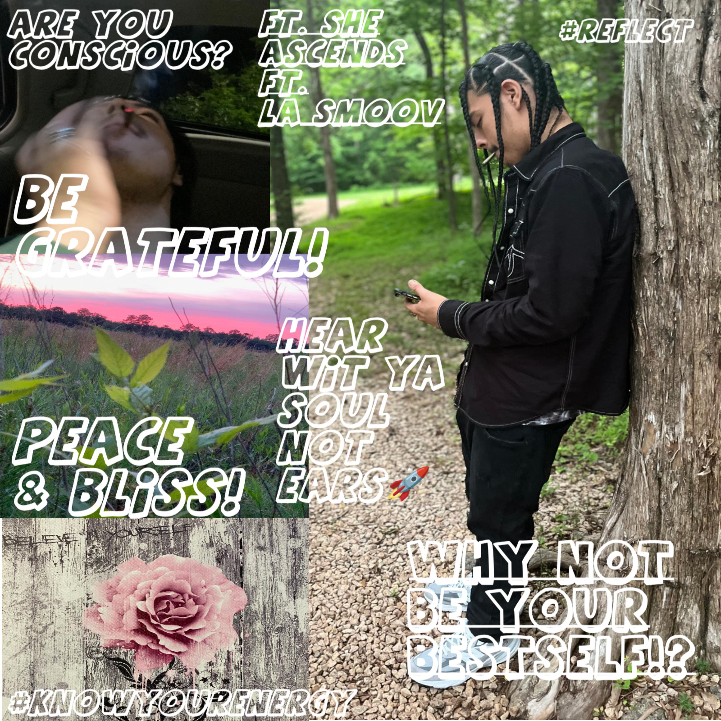 WHY NOT BE YOUR BEST SELF! artwork
