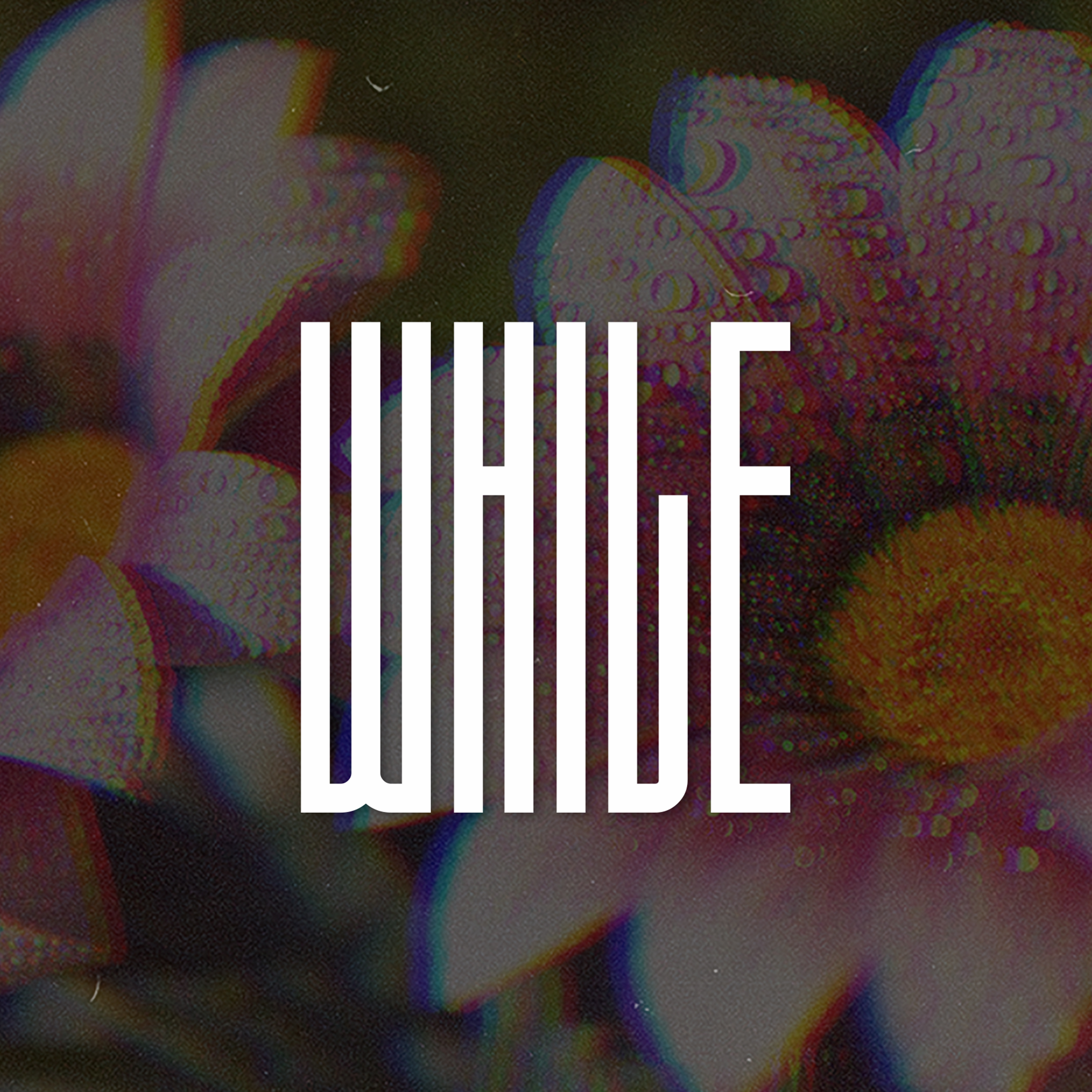 While (Melodic Drill) artwork
