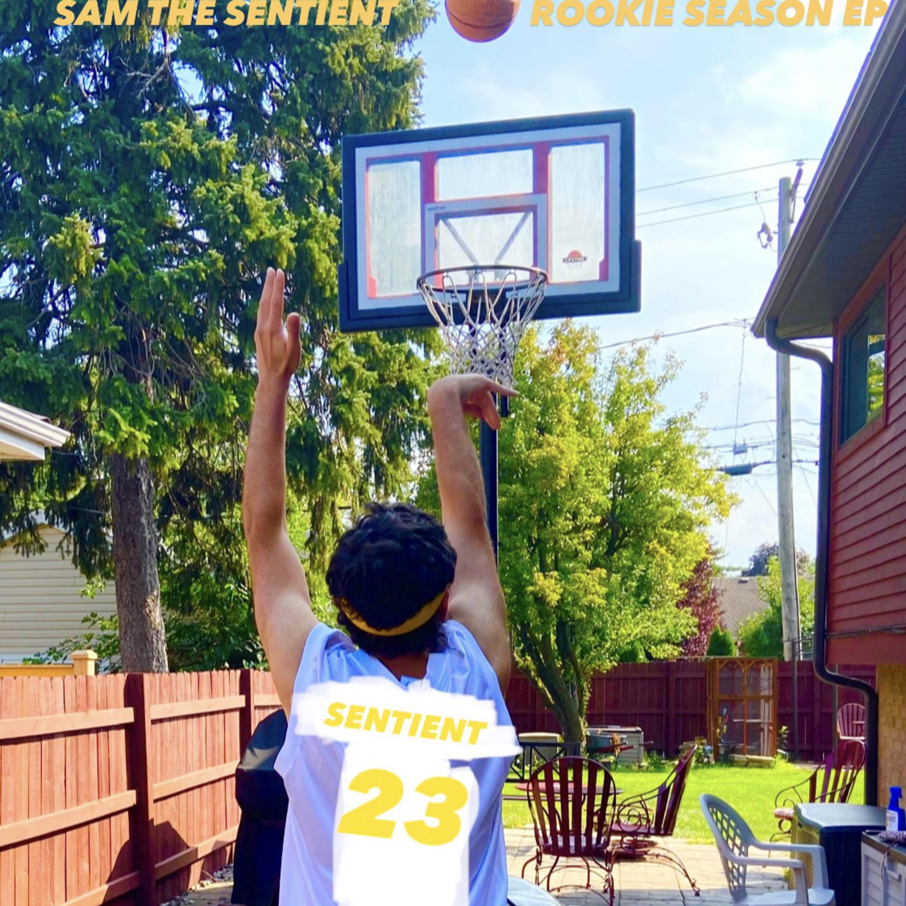 Rookie Season artwork