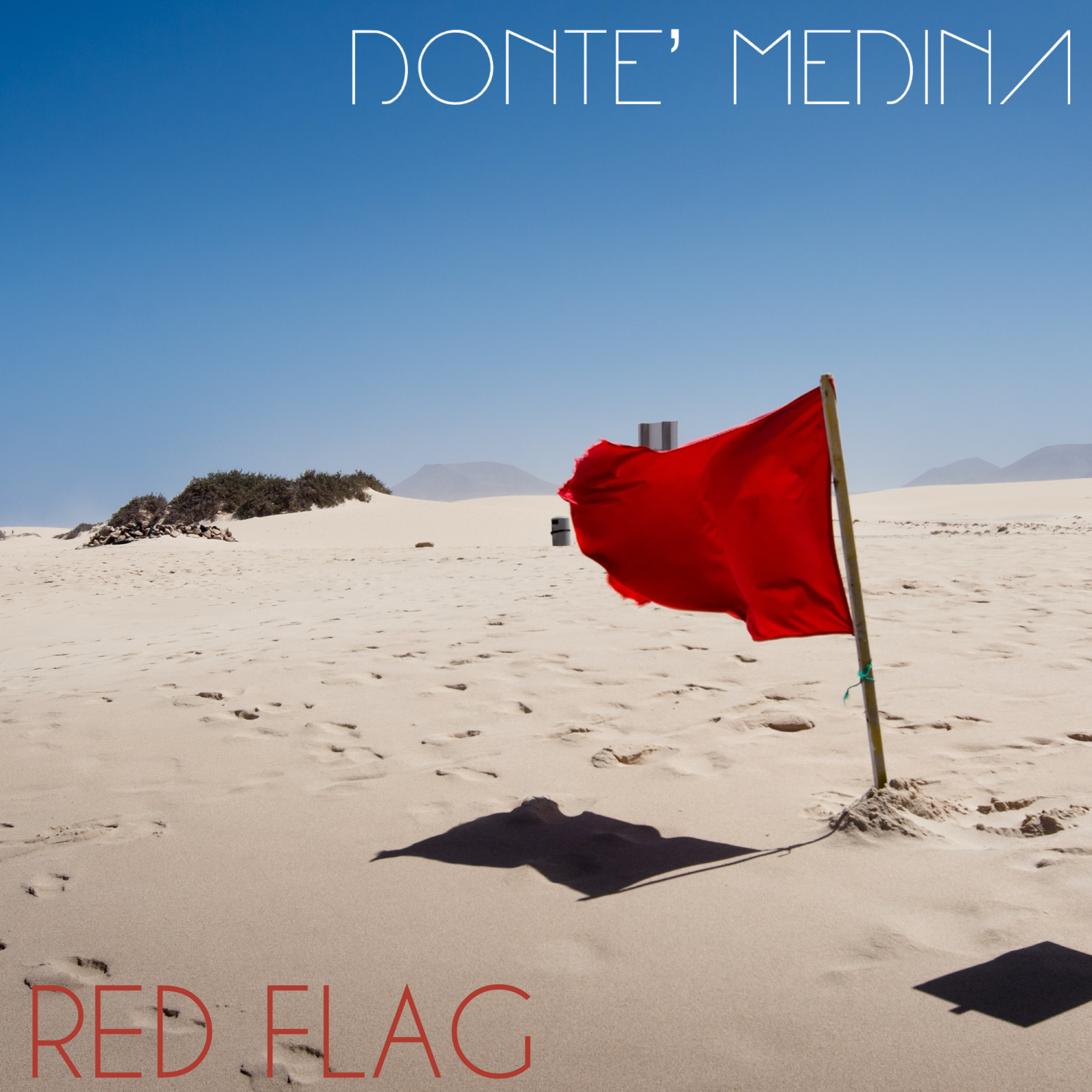 Red Flag artwork