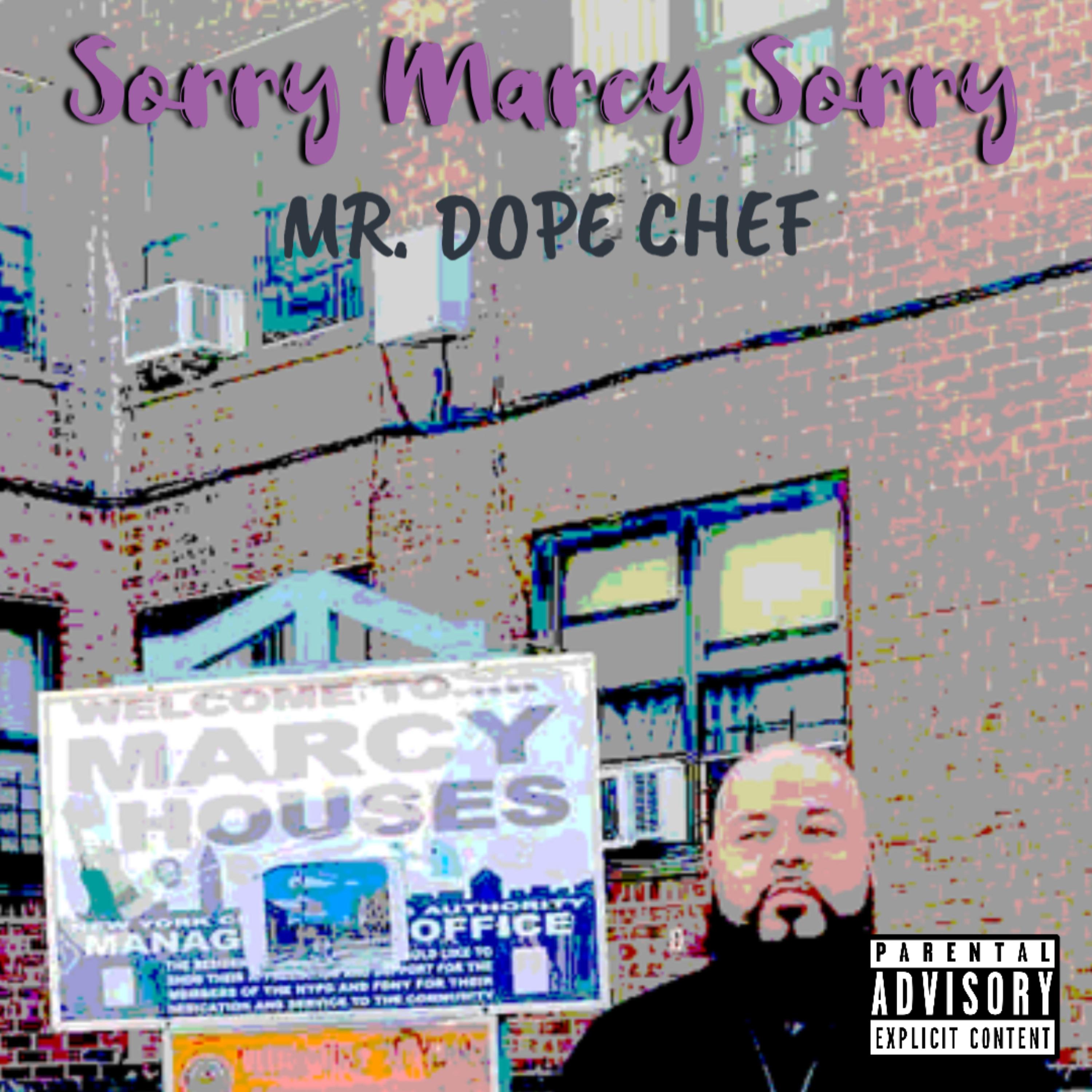 Sorry Marcy Sorry artwork