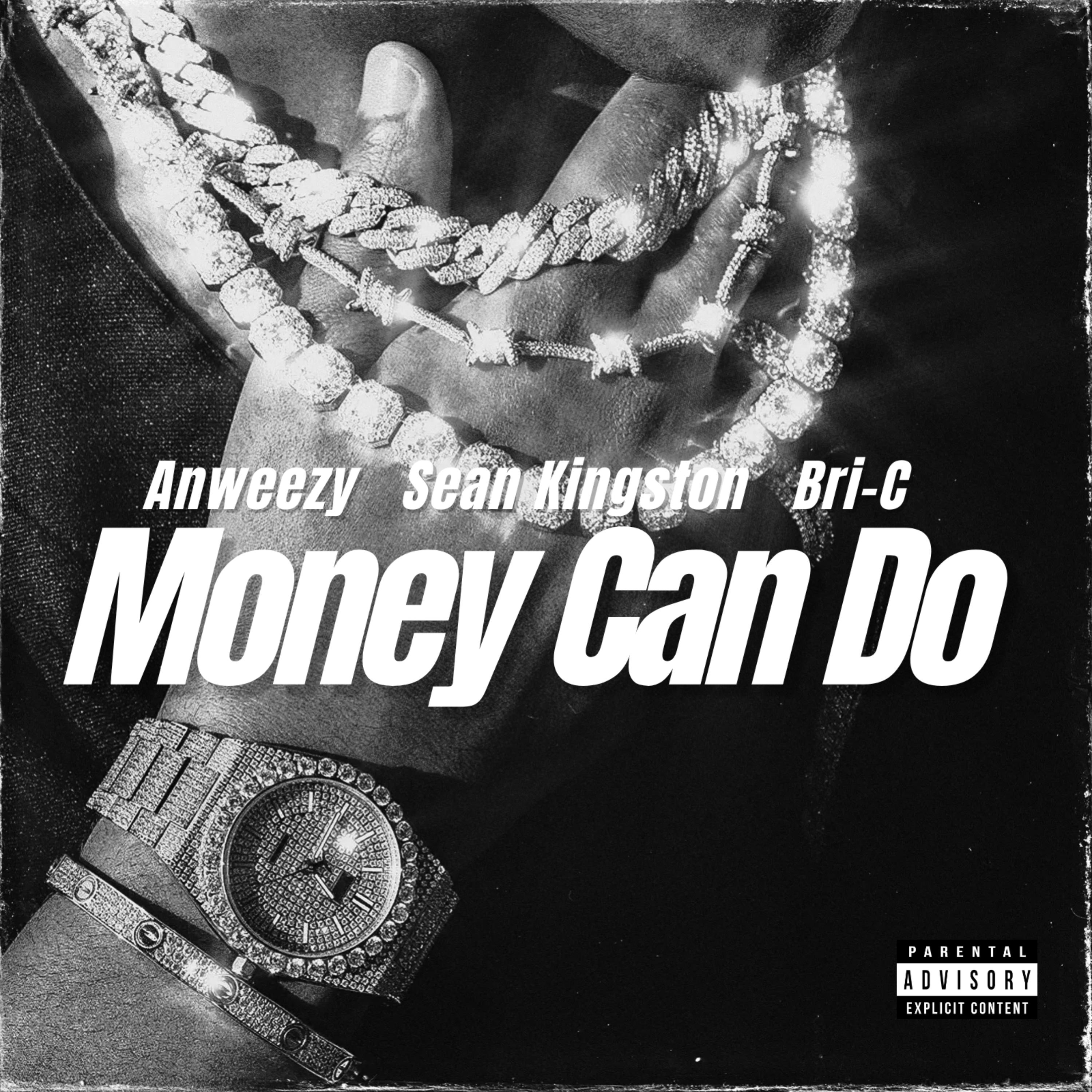 Money Can Do by Anweezy cover art