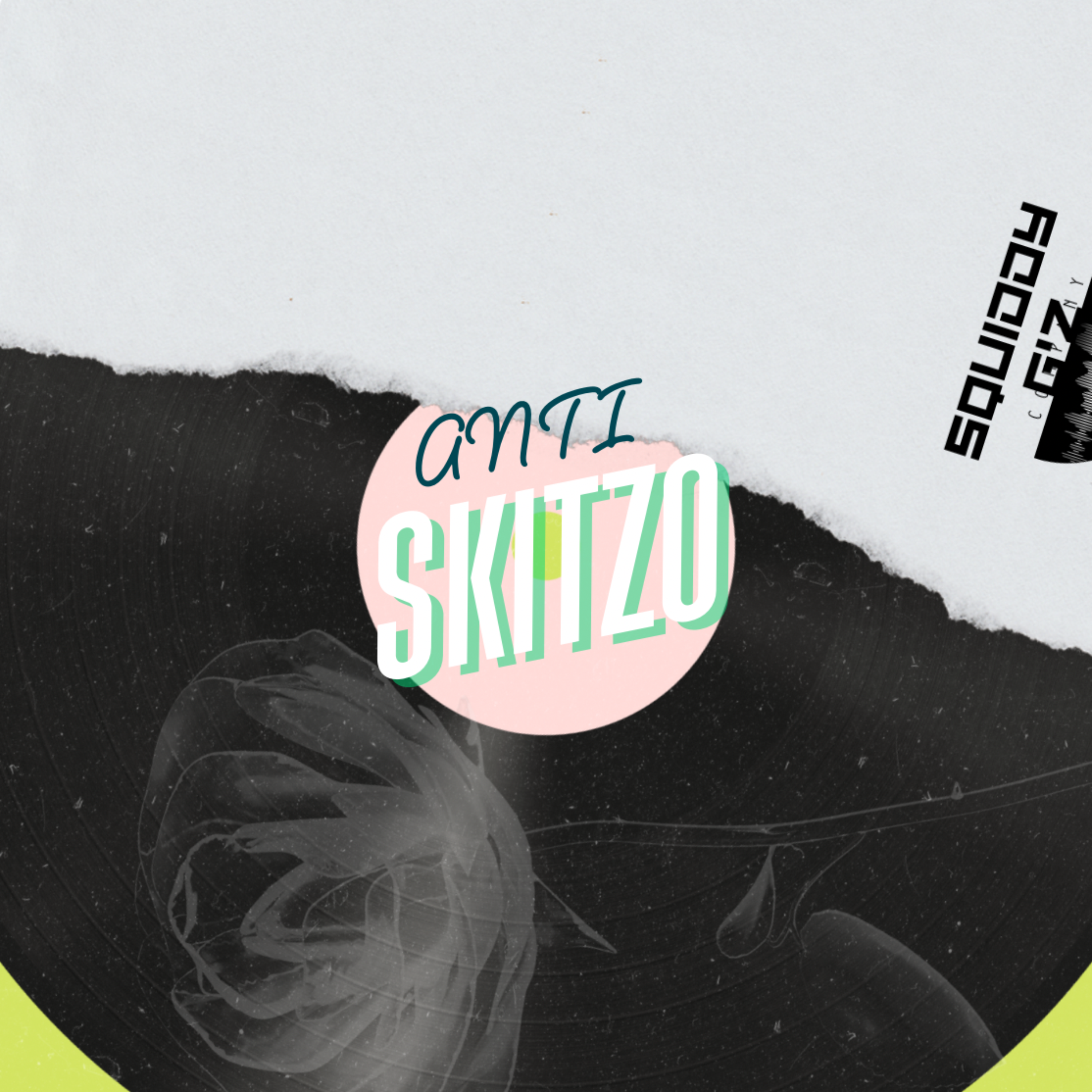 Anti Skitzo artwork