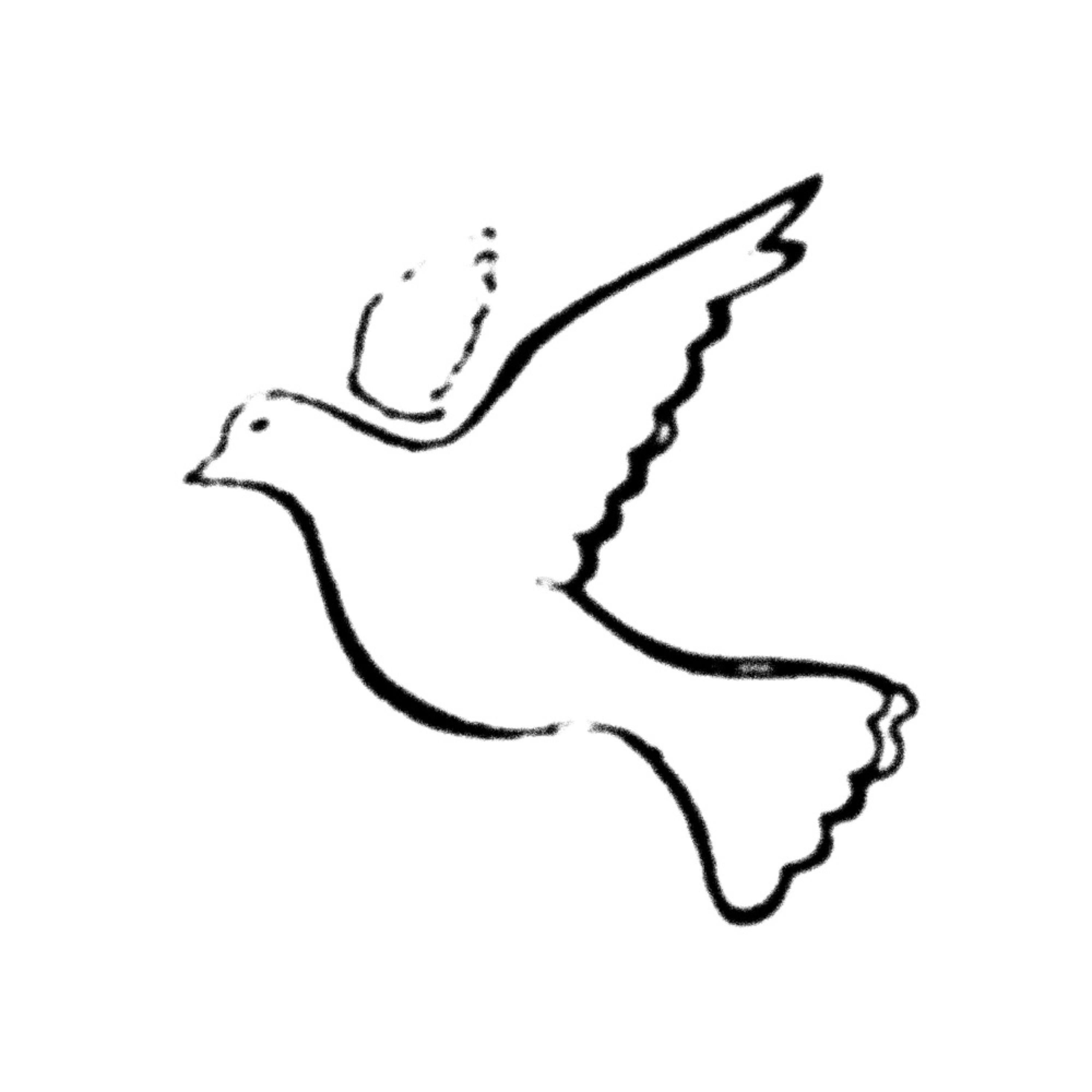 where the birds fly artwork