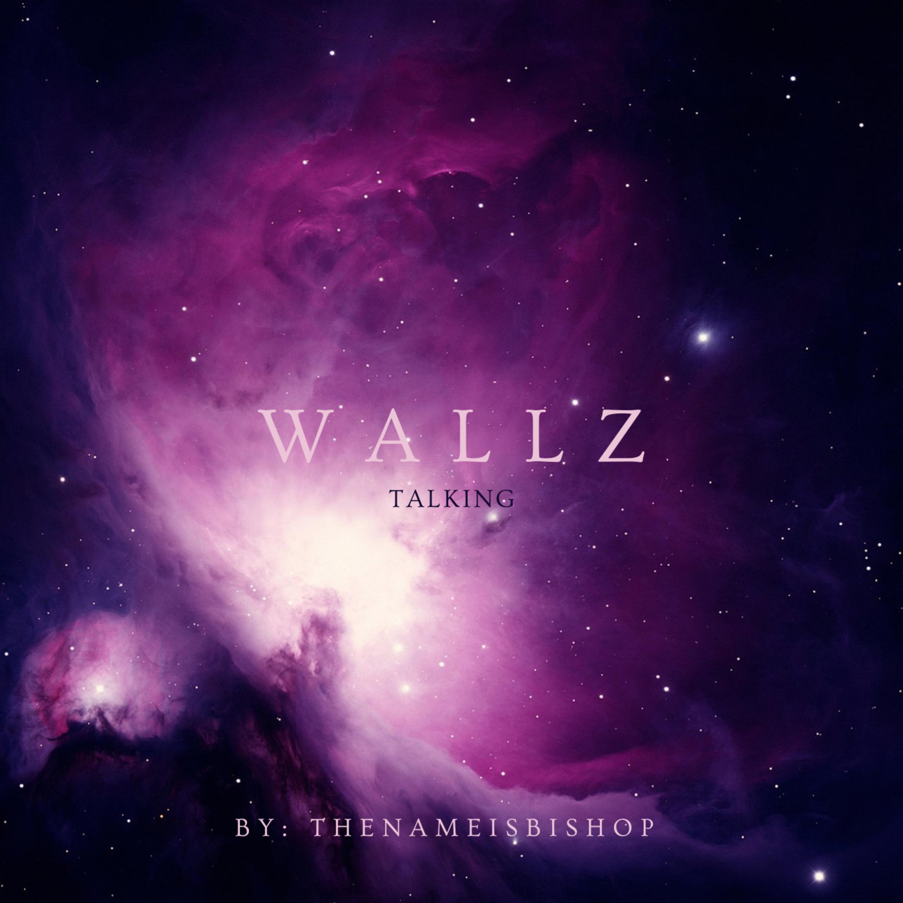 WALLZ TALKING artwork
