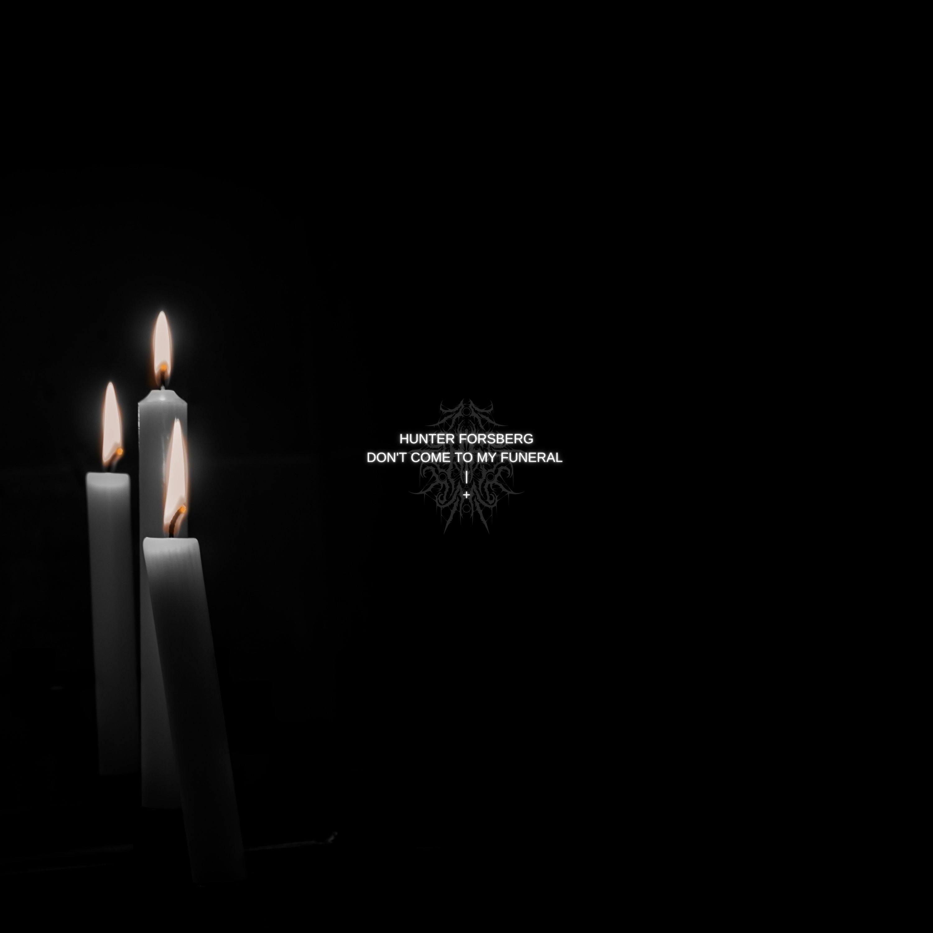 Don't Come To My Funeral artwork