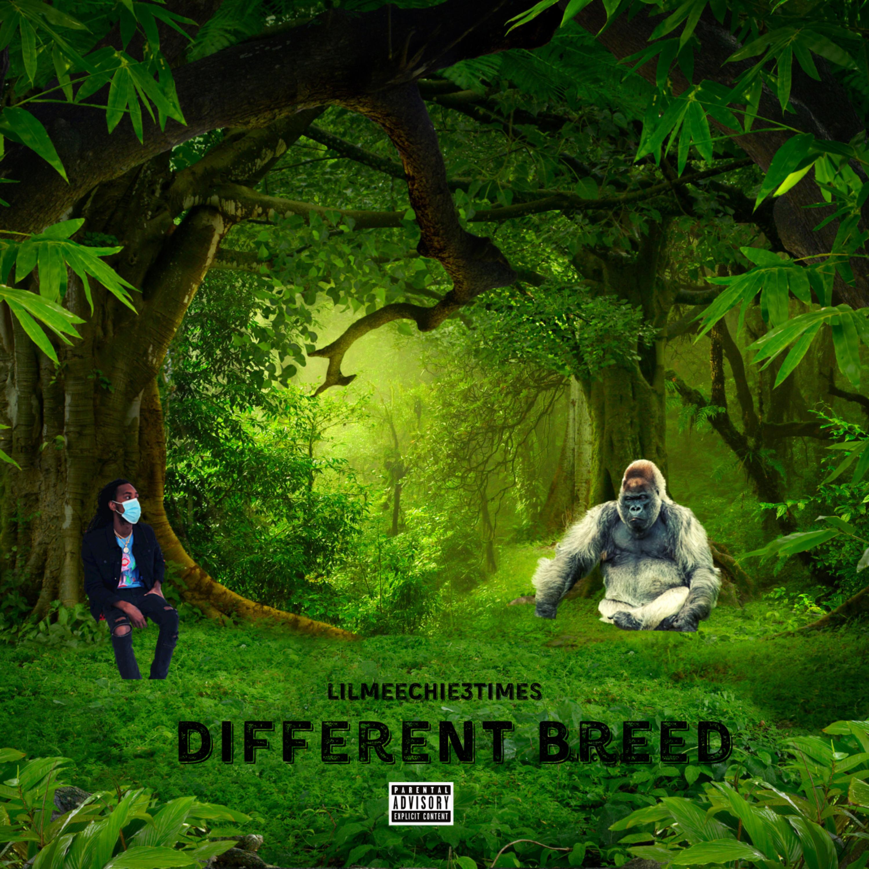 Different Breed artwork